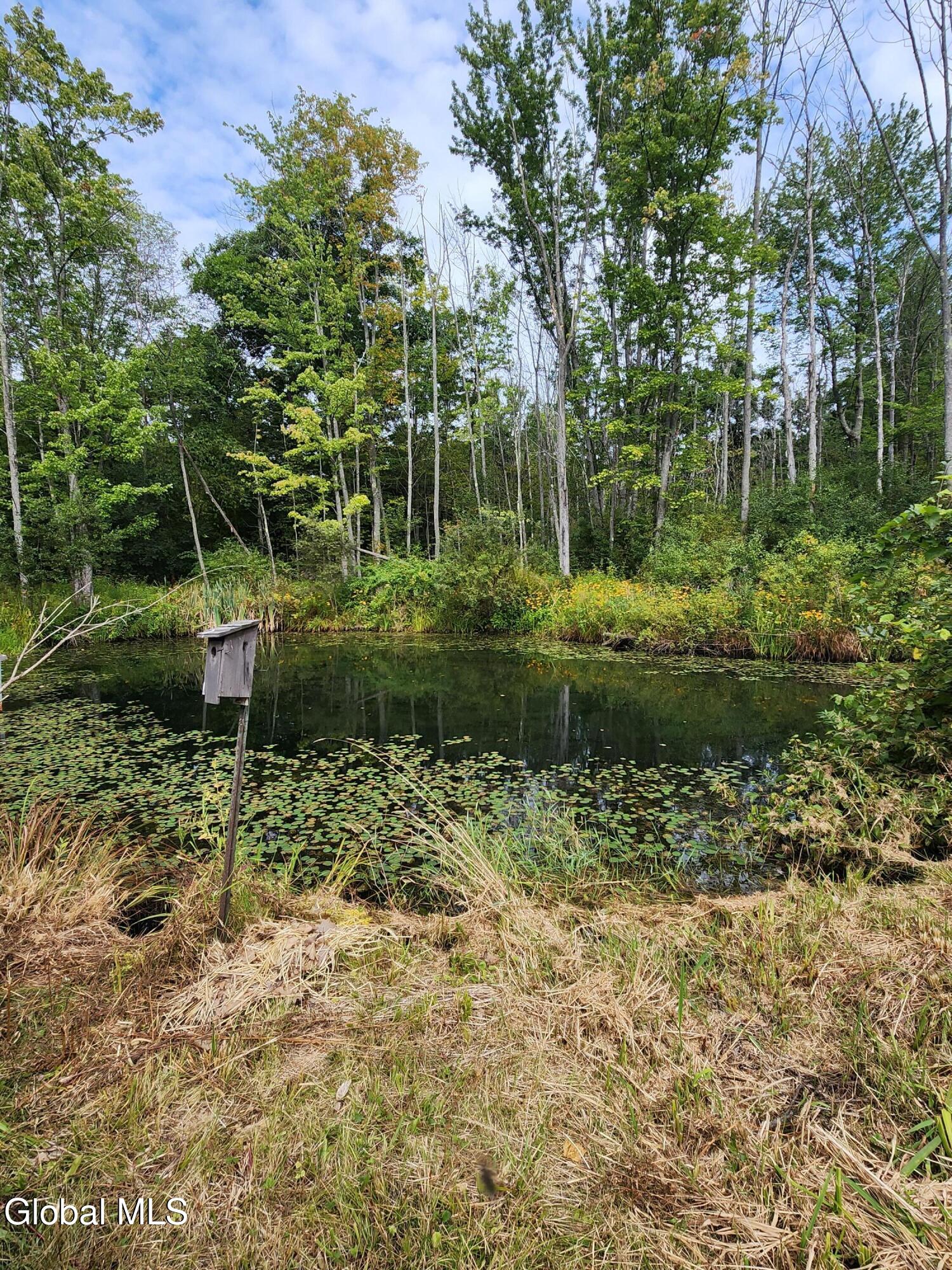 1416 Thousand Acres Road Duanesburg NY 12053