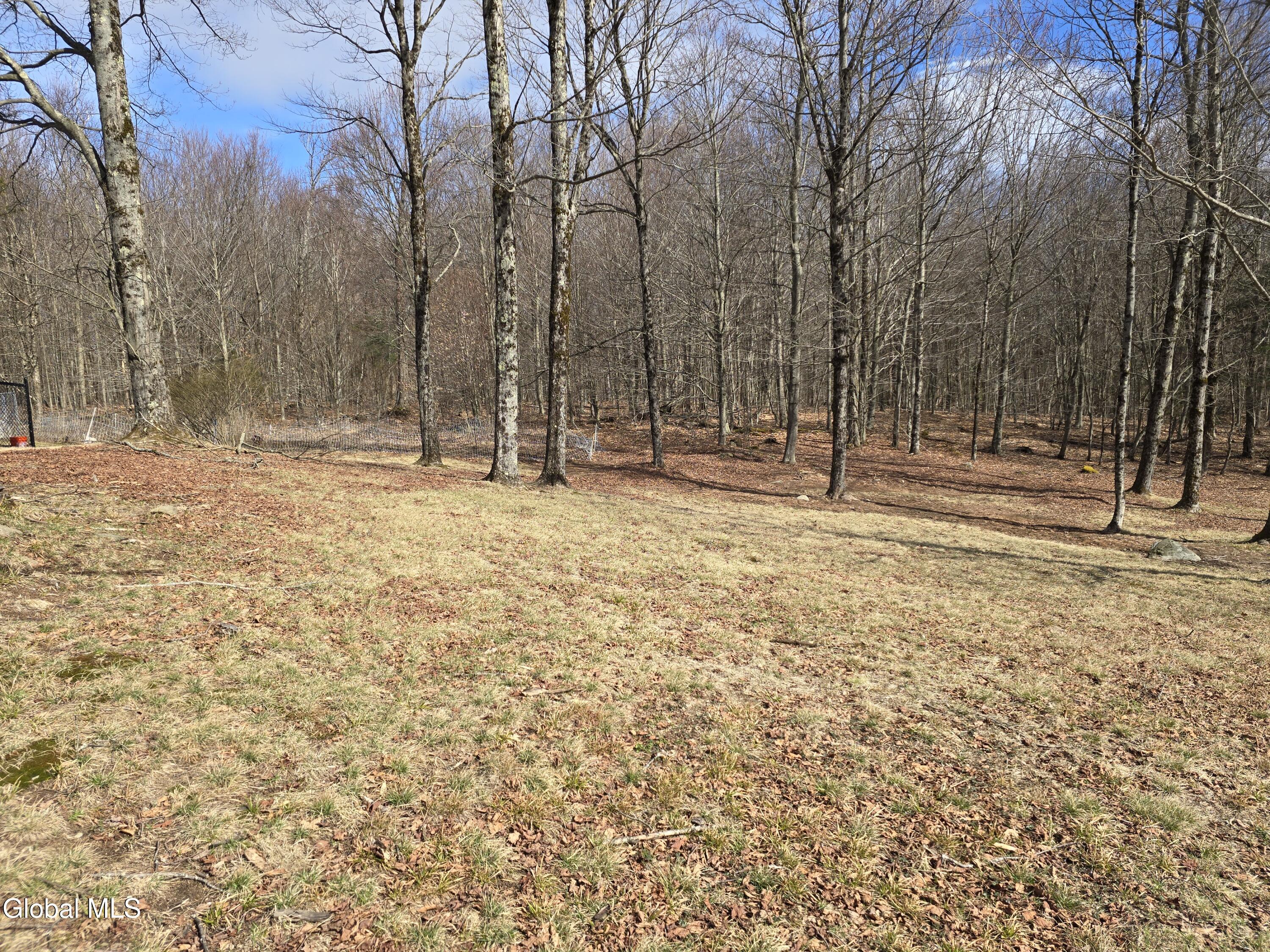 344 Dyken Pond Road Petersburgh NY 12138