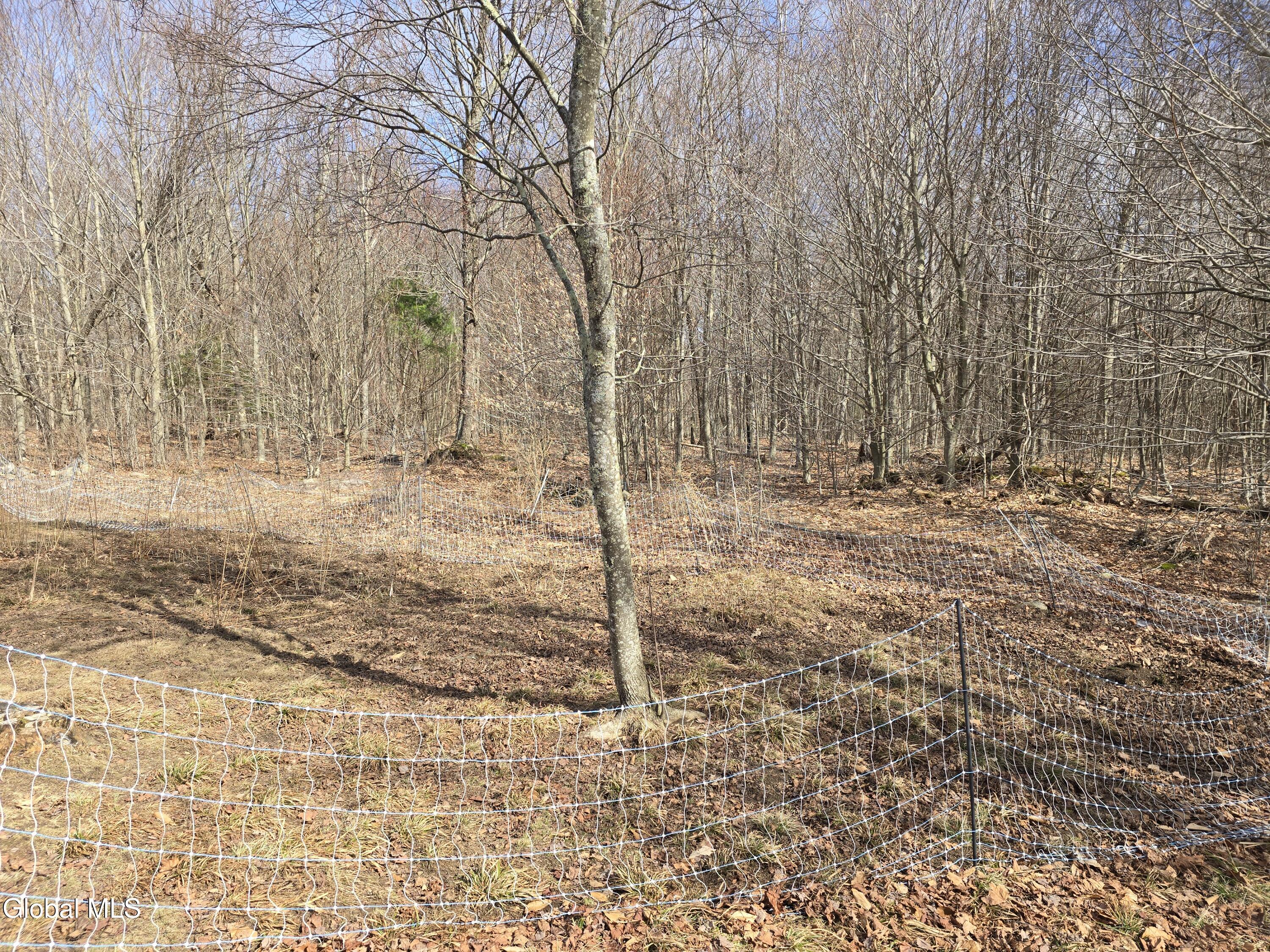 344 Dyken Pond Road Petersburgh NY 12138