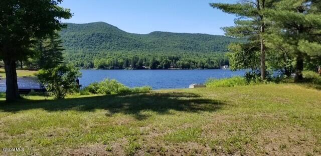 101 Kibler Point Road Wells NY 12190