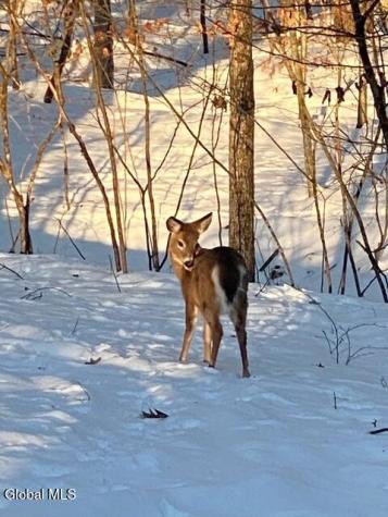 2237 Route 50 Saratoga Springs NY 12866