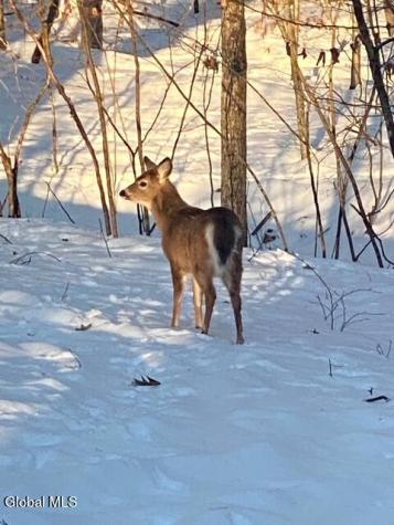 2237 Route 50 Saratoga Springs NY 12866