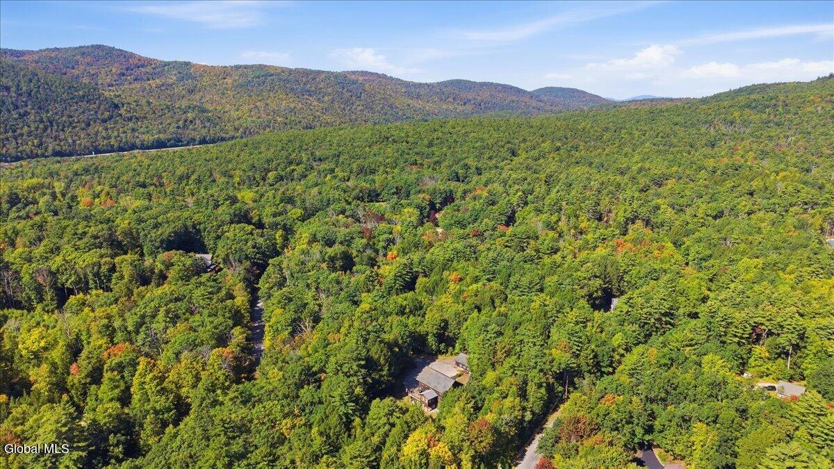 29 Carefree Lane Lake George NY 12845