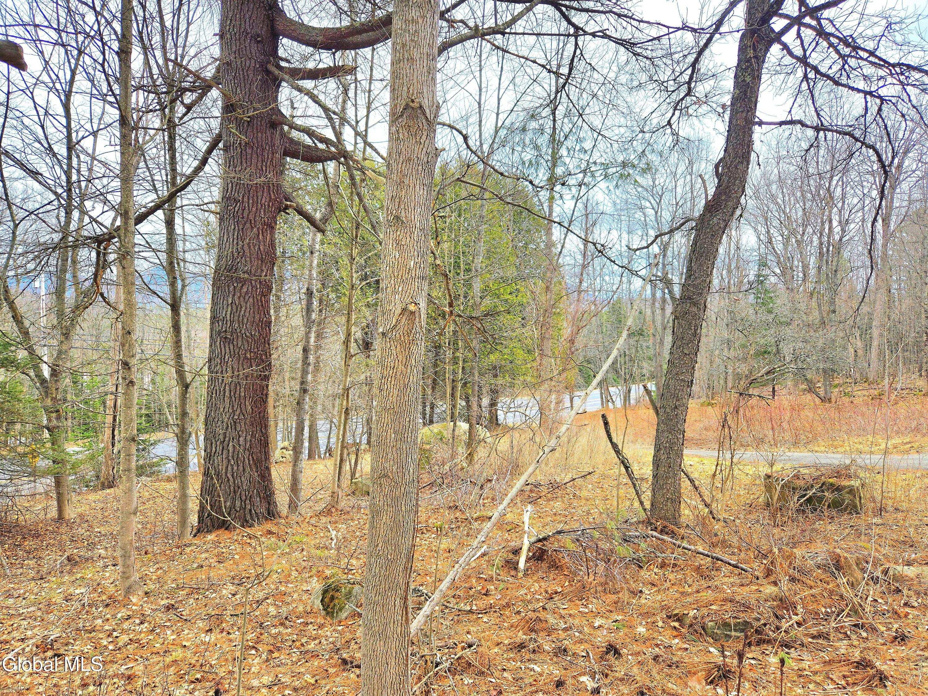 2030 State Route 86 Saranac Lake NY 12983