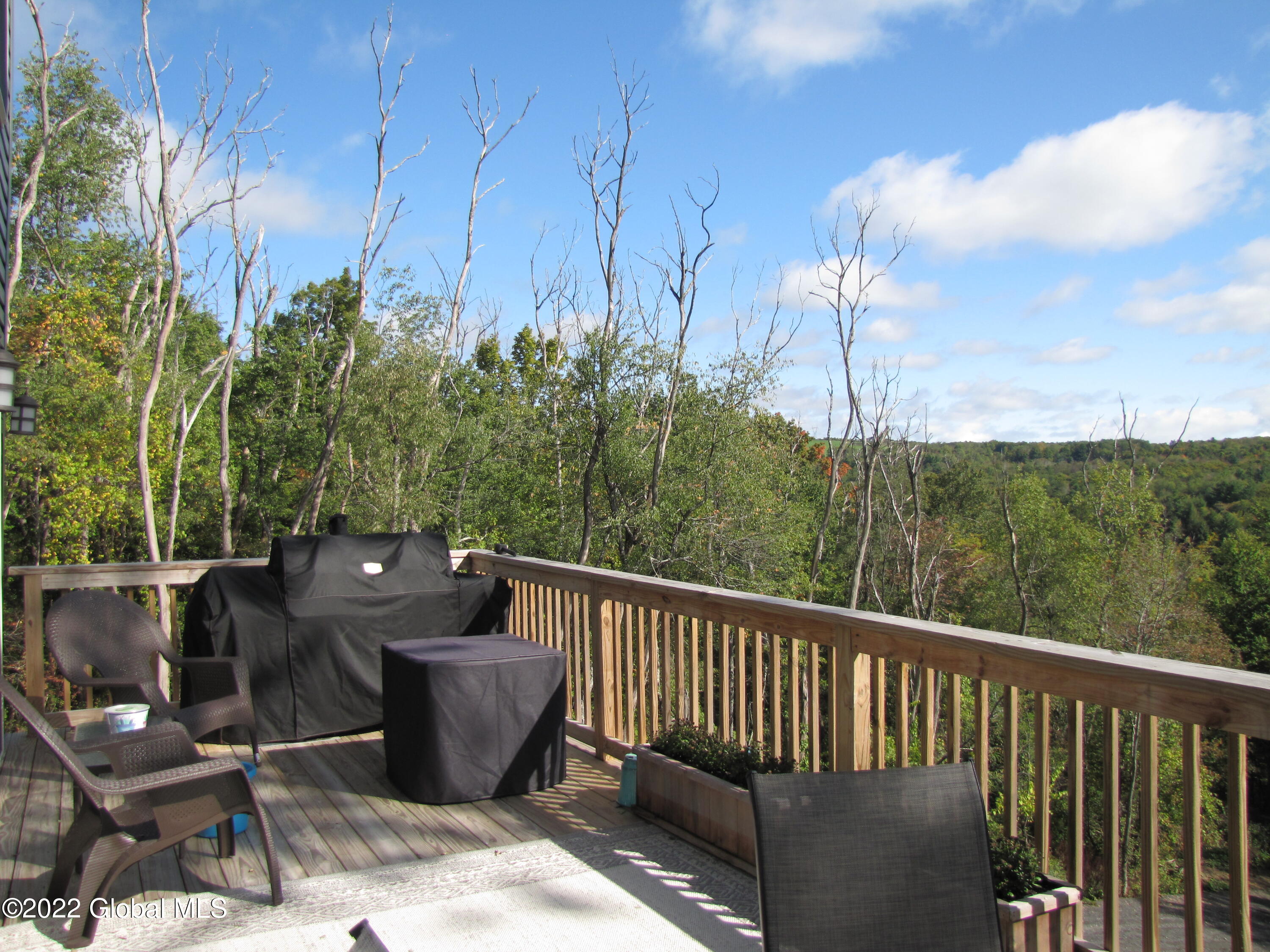 44 Abbey Road Berne NY 12023