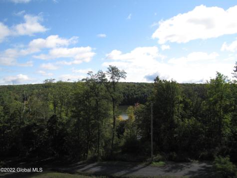 44 Abbey Road Berne NY 12023