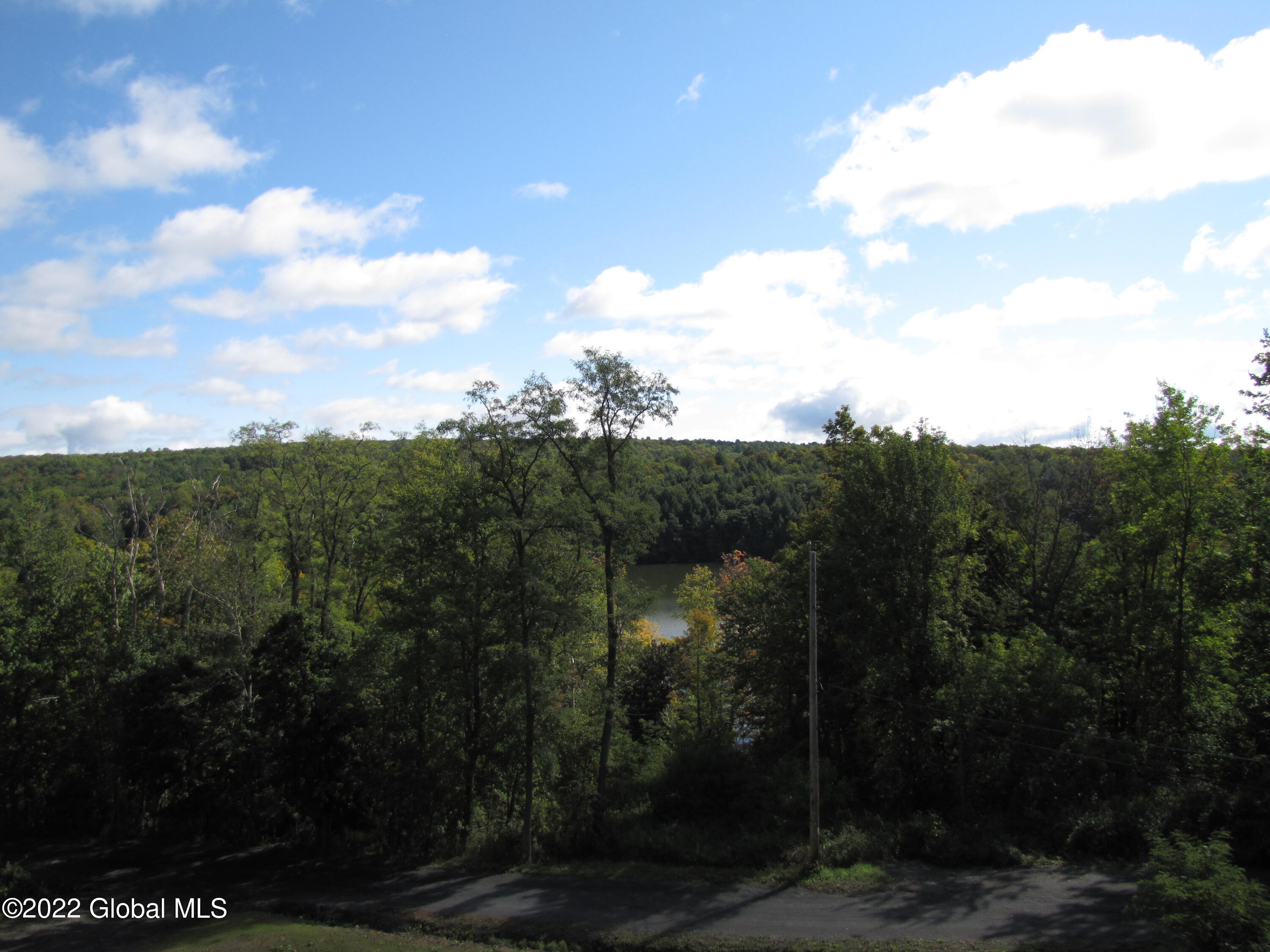 44 Abbey Road Berne NY 12023