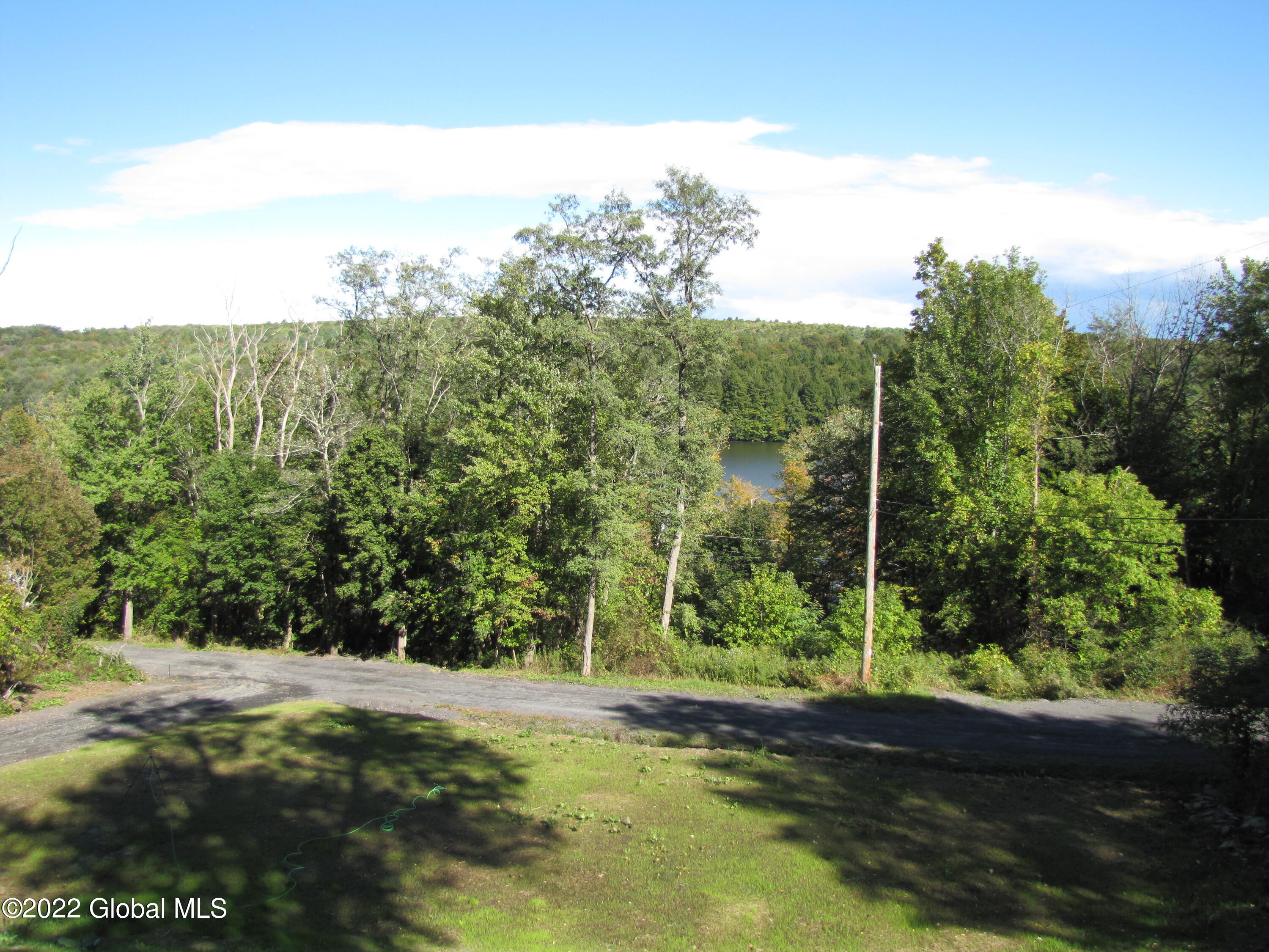 44 Abbey Road Berne NY 12023