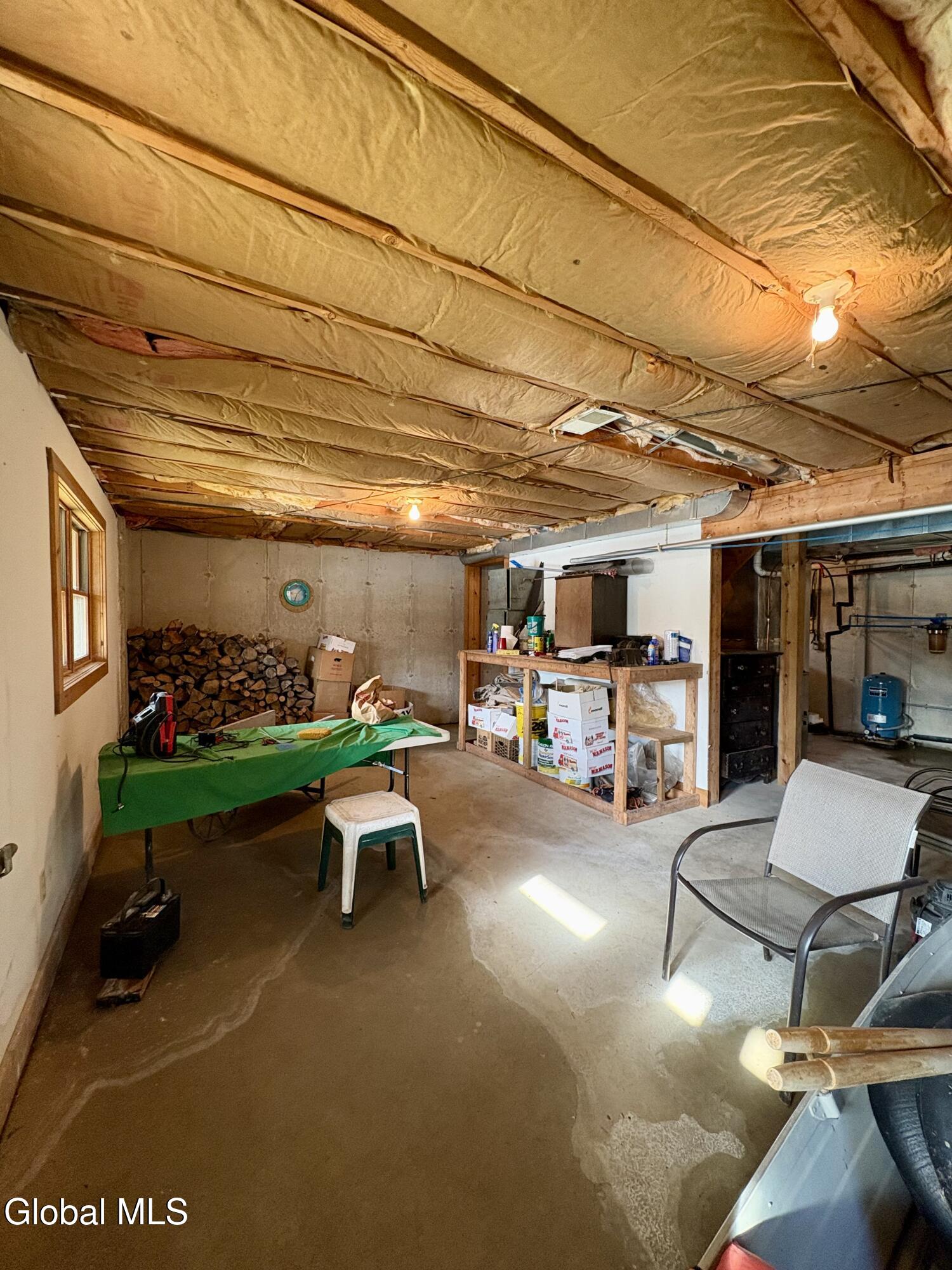 102 Shoreline Drive Summit NY 12175