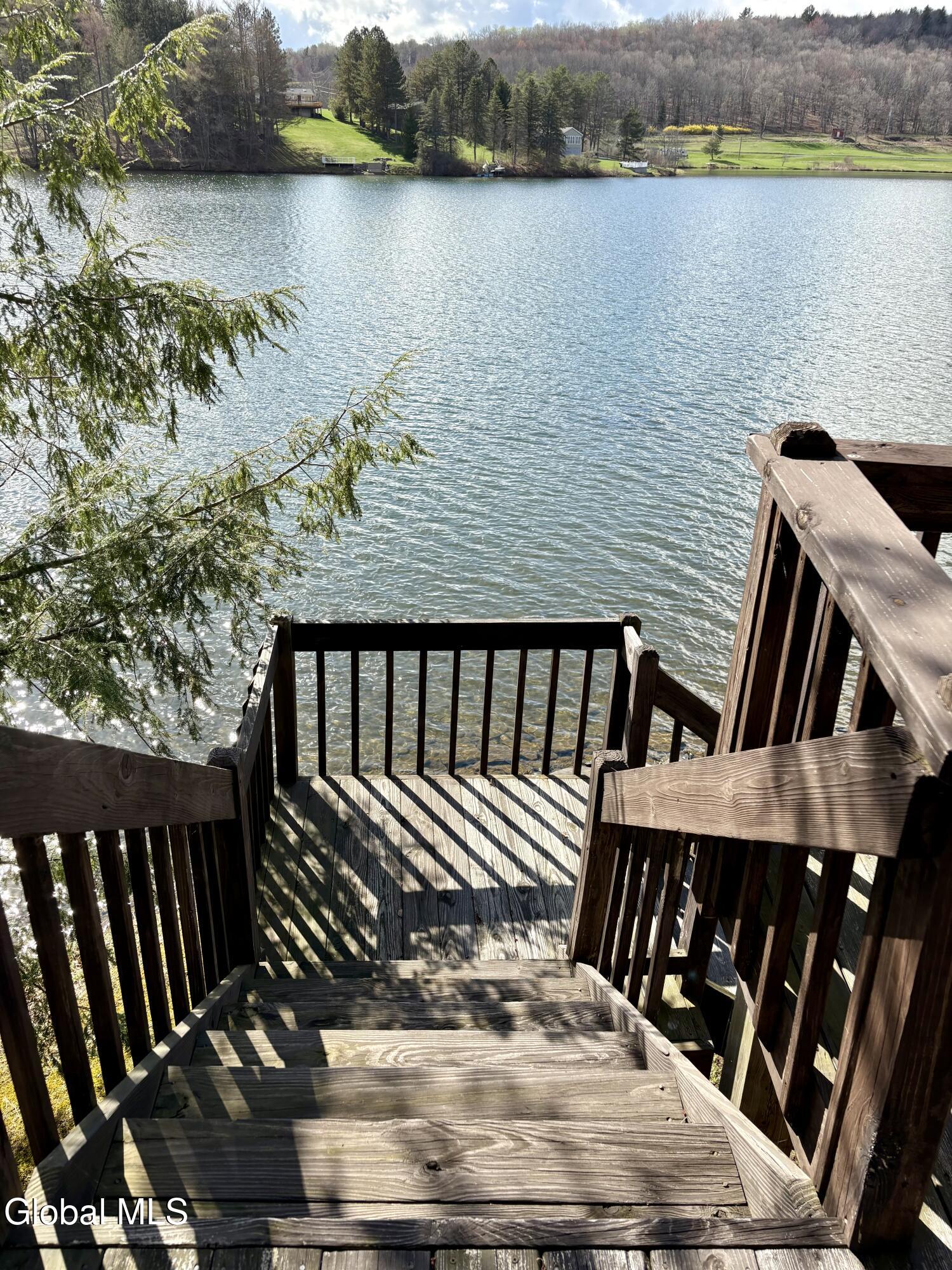 102 Shoreline Drive Summit NY 12175