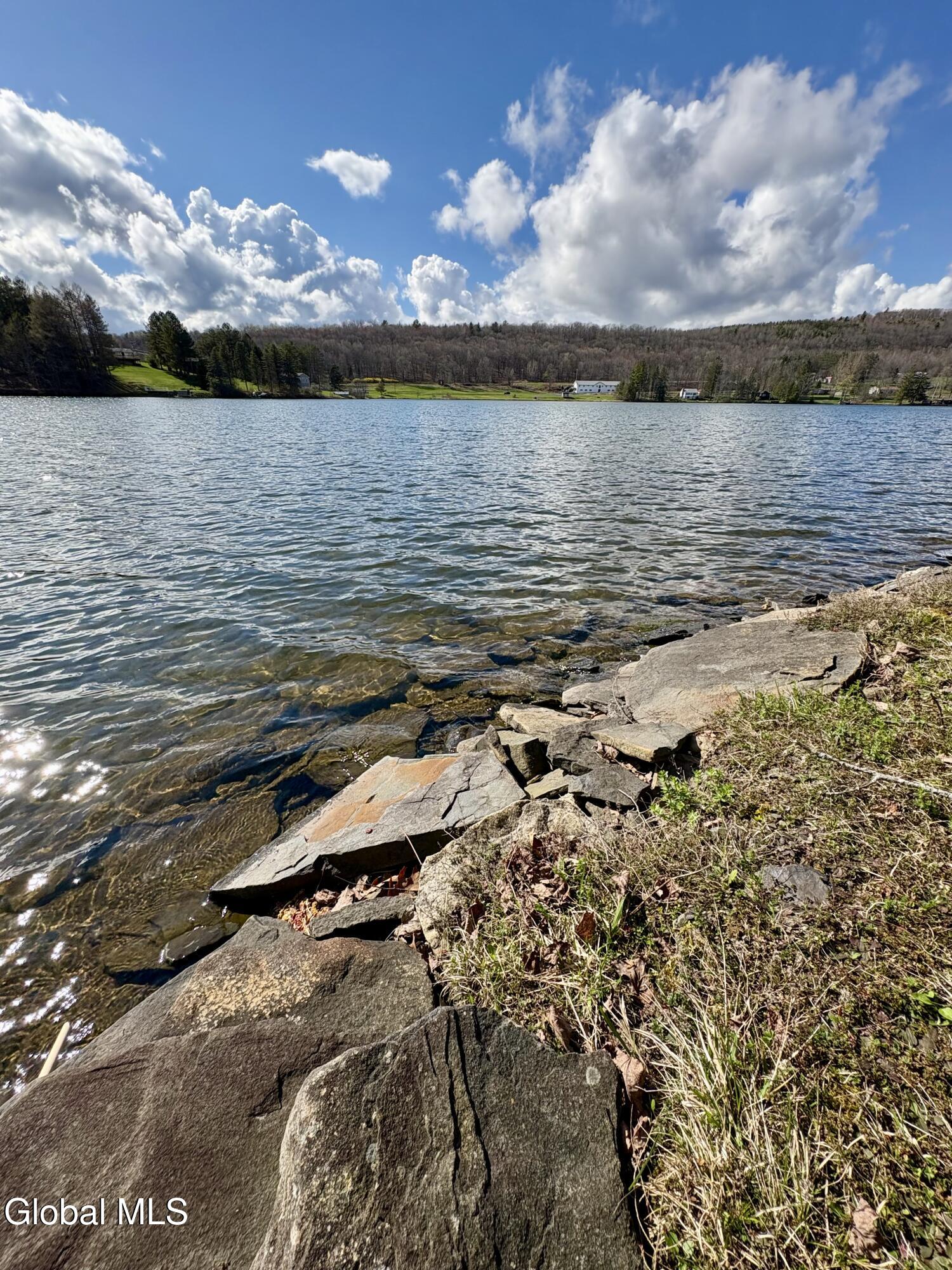 102 Shoreline Drive Summit NY 12175