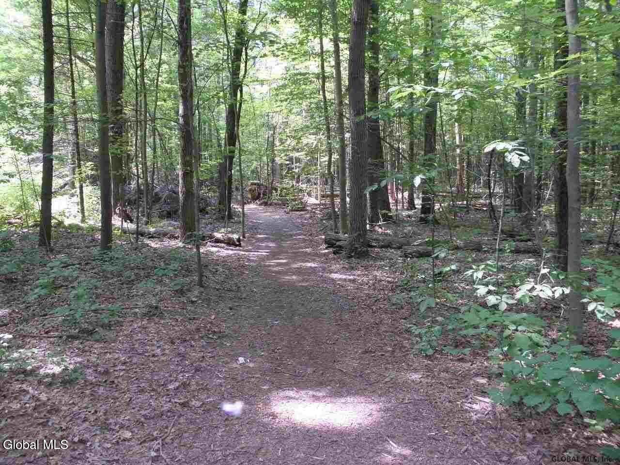 34 Castle Pines Clifton Park NY 12065