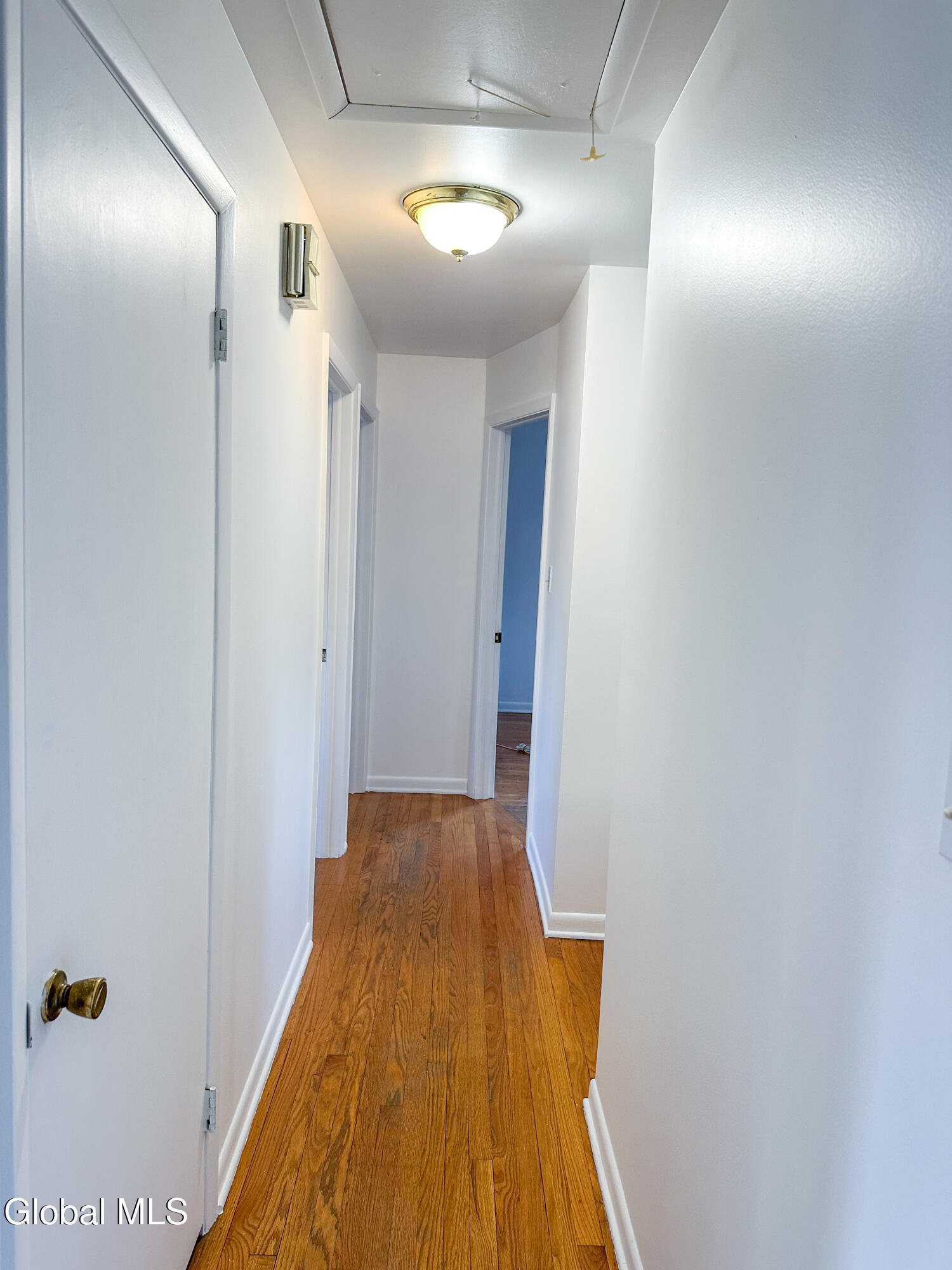 148 S Allen Street Albany NY 12208