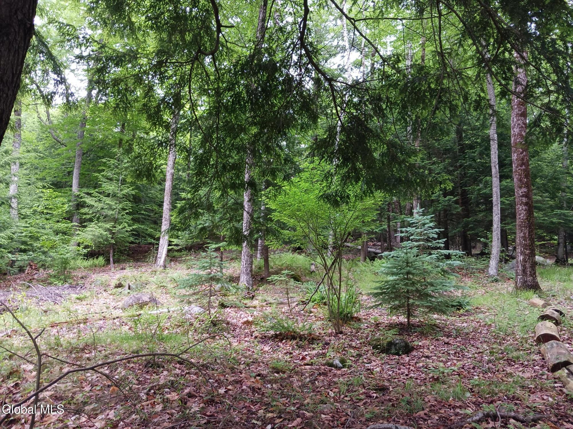 170 E Shore Drive Adirondack NY 12808
