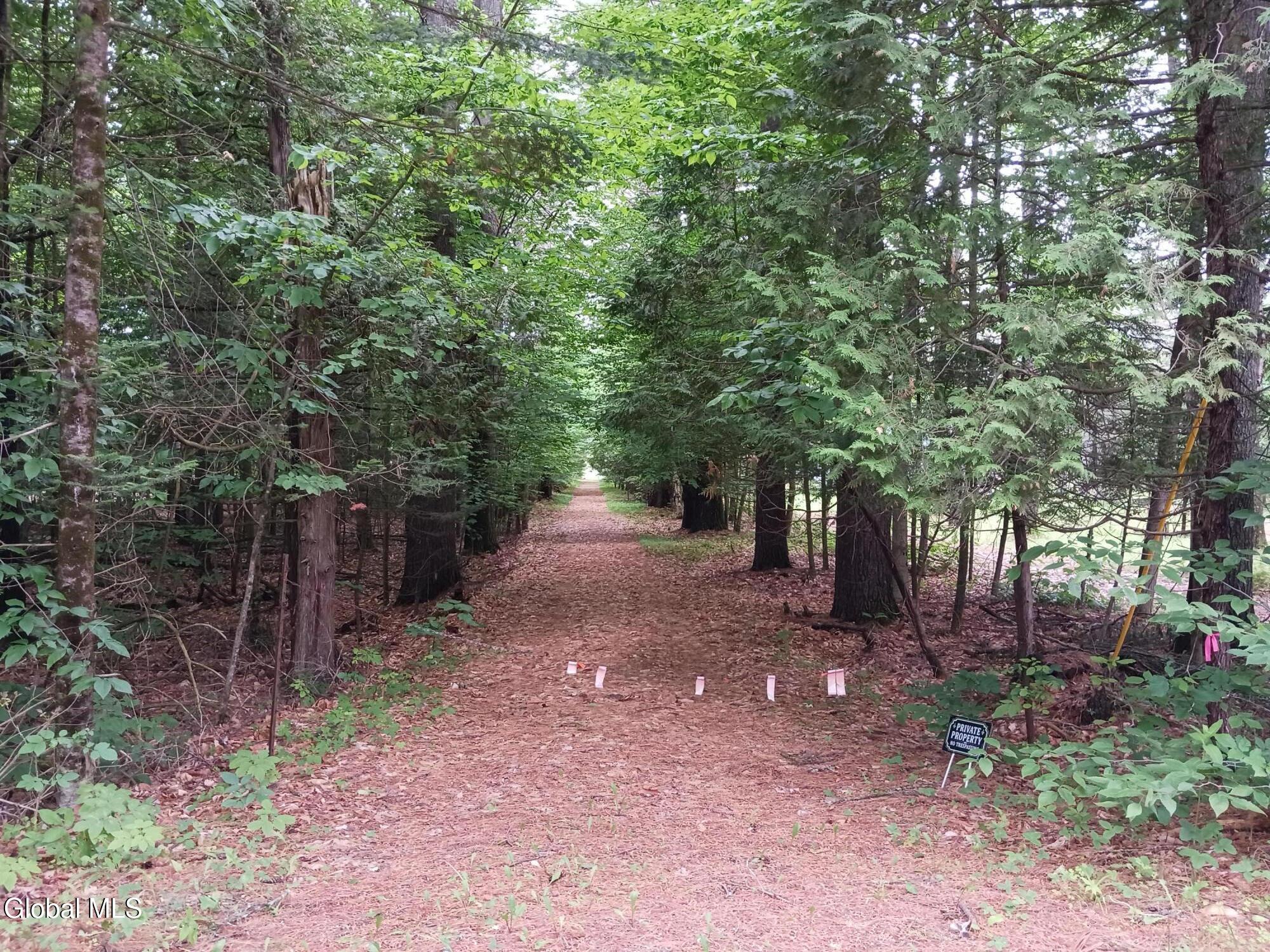 170 E Shore Drive Adirondack NY 12808