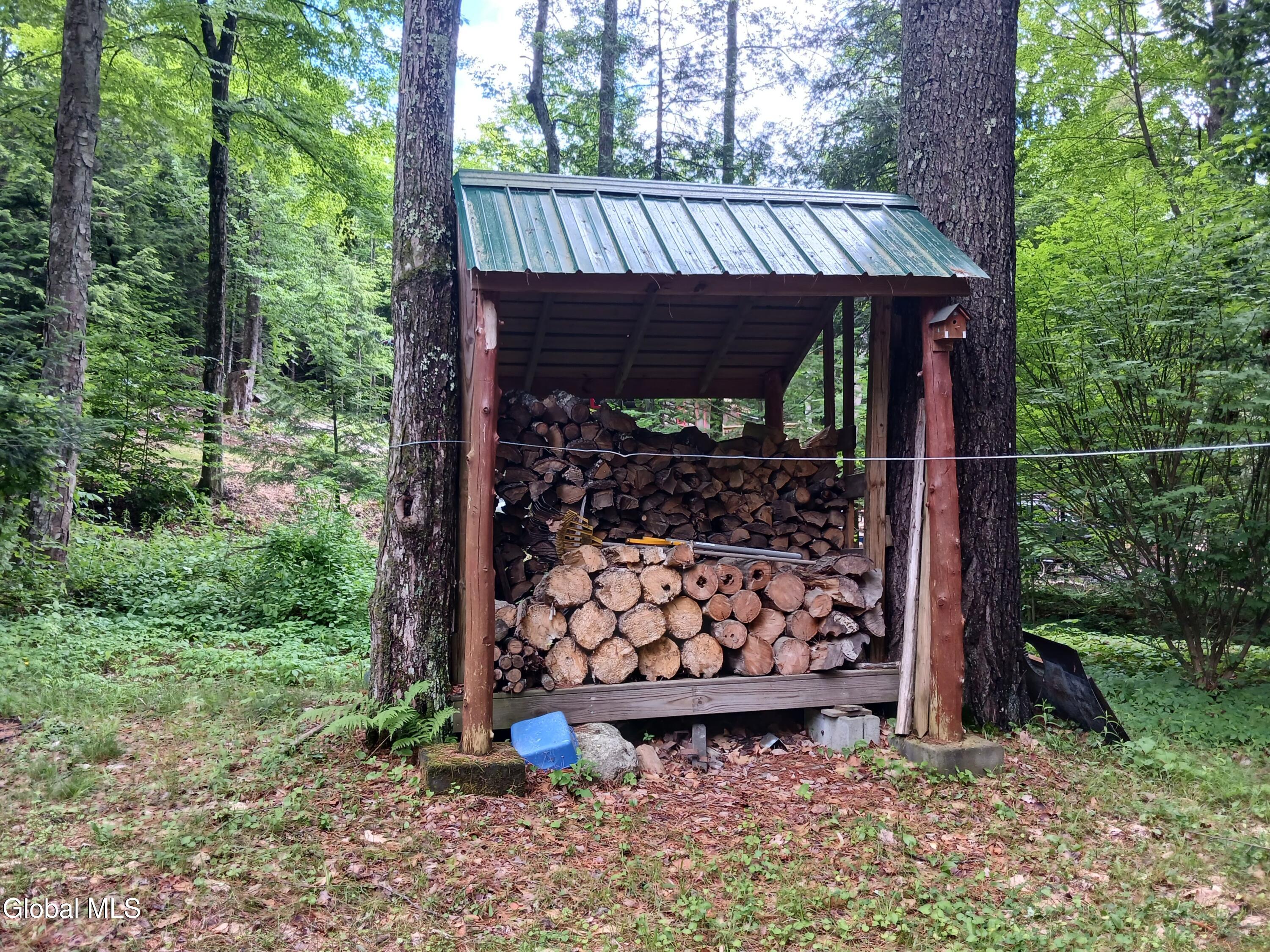 170 E Shore Drive Adirondack NY 12808