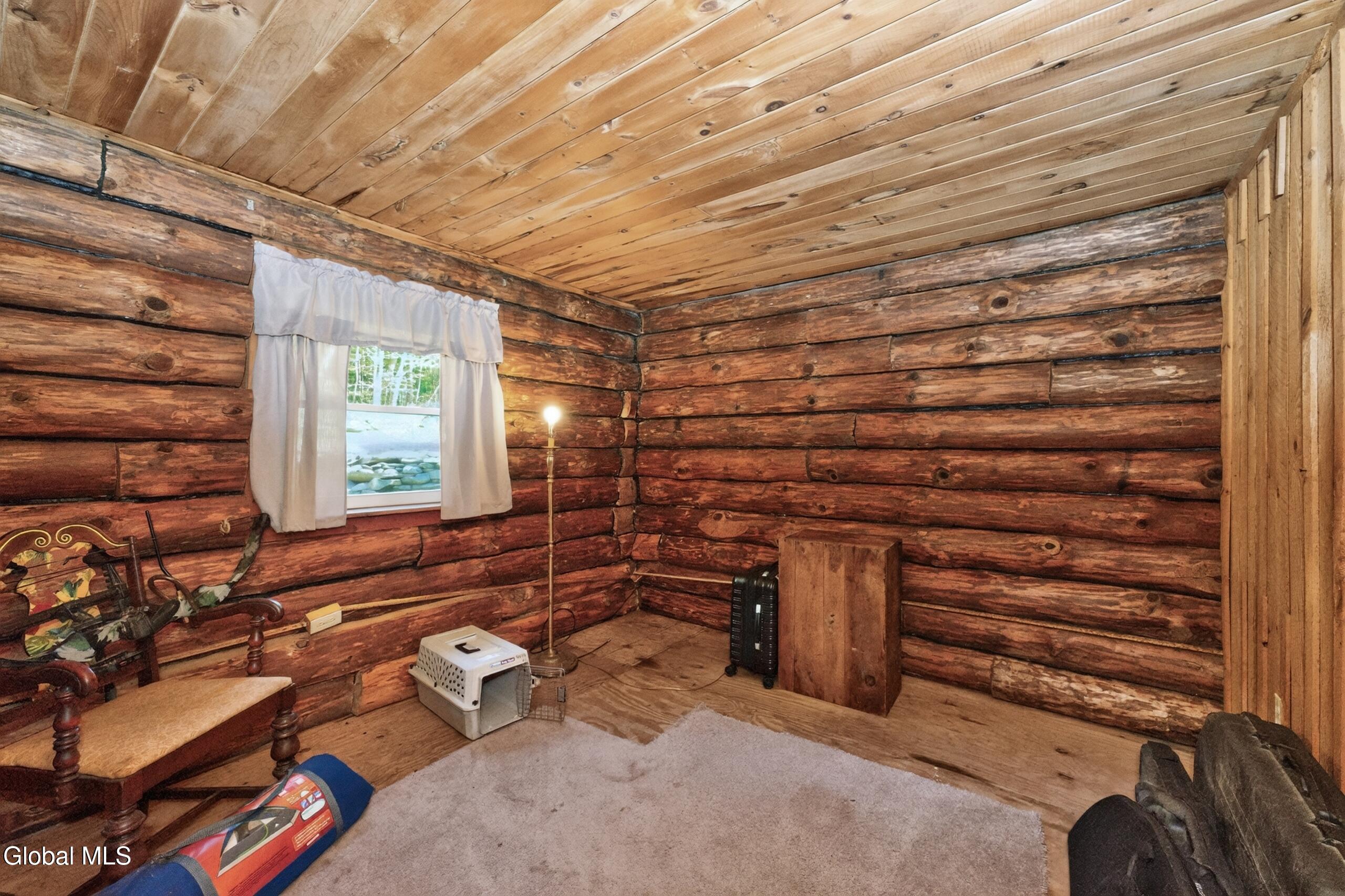 119 Brown House Road Conesville NY 12076