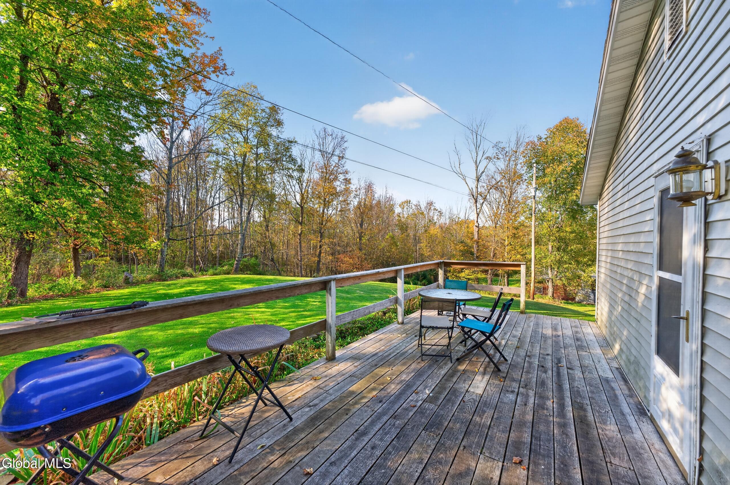 119 Brown House Road Conesville NY 12076