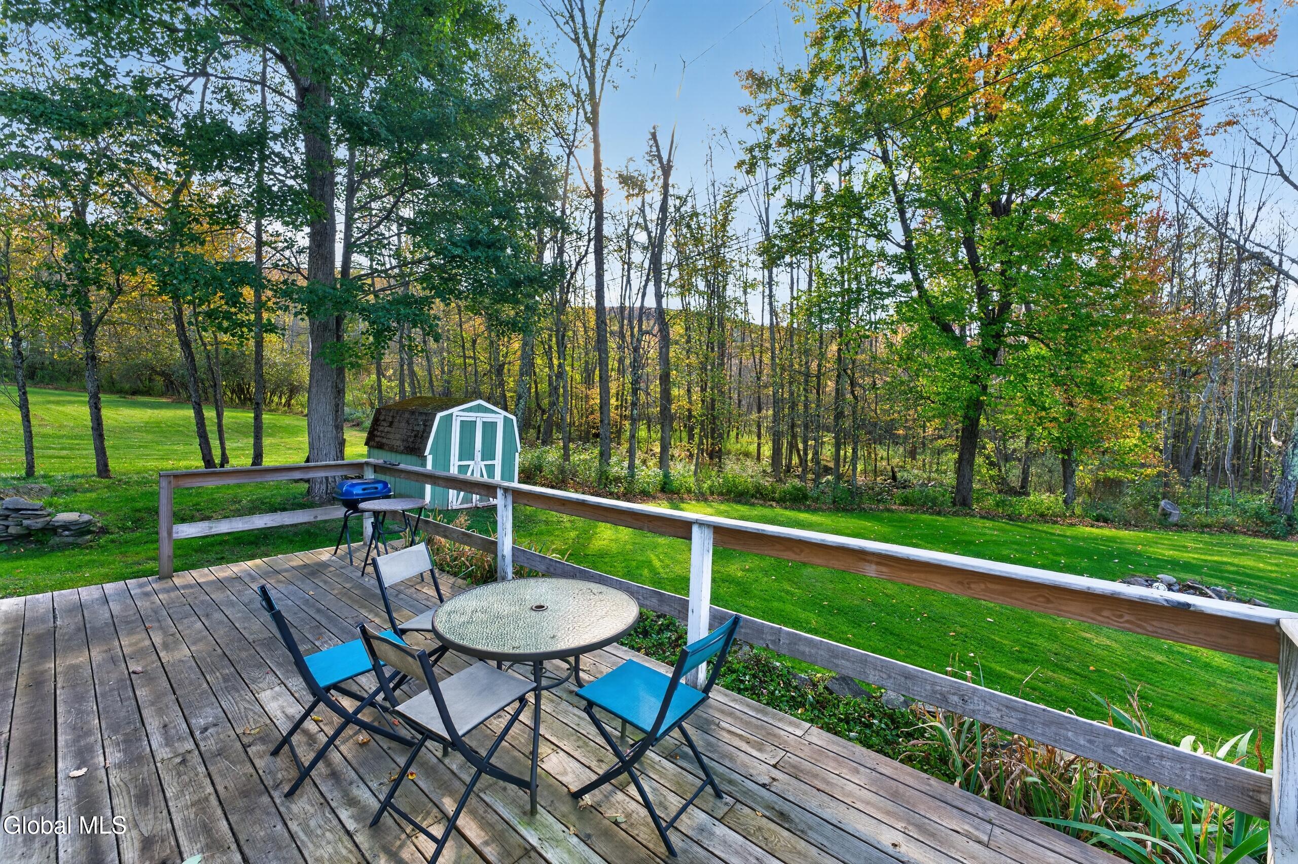 119 Brown House Road Conesville NY 12076