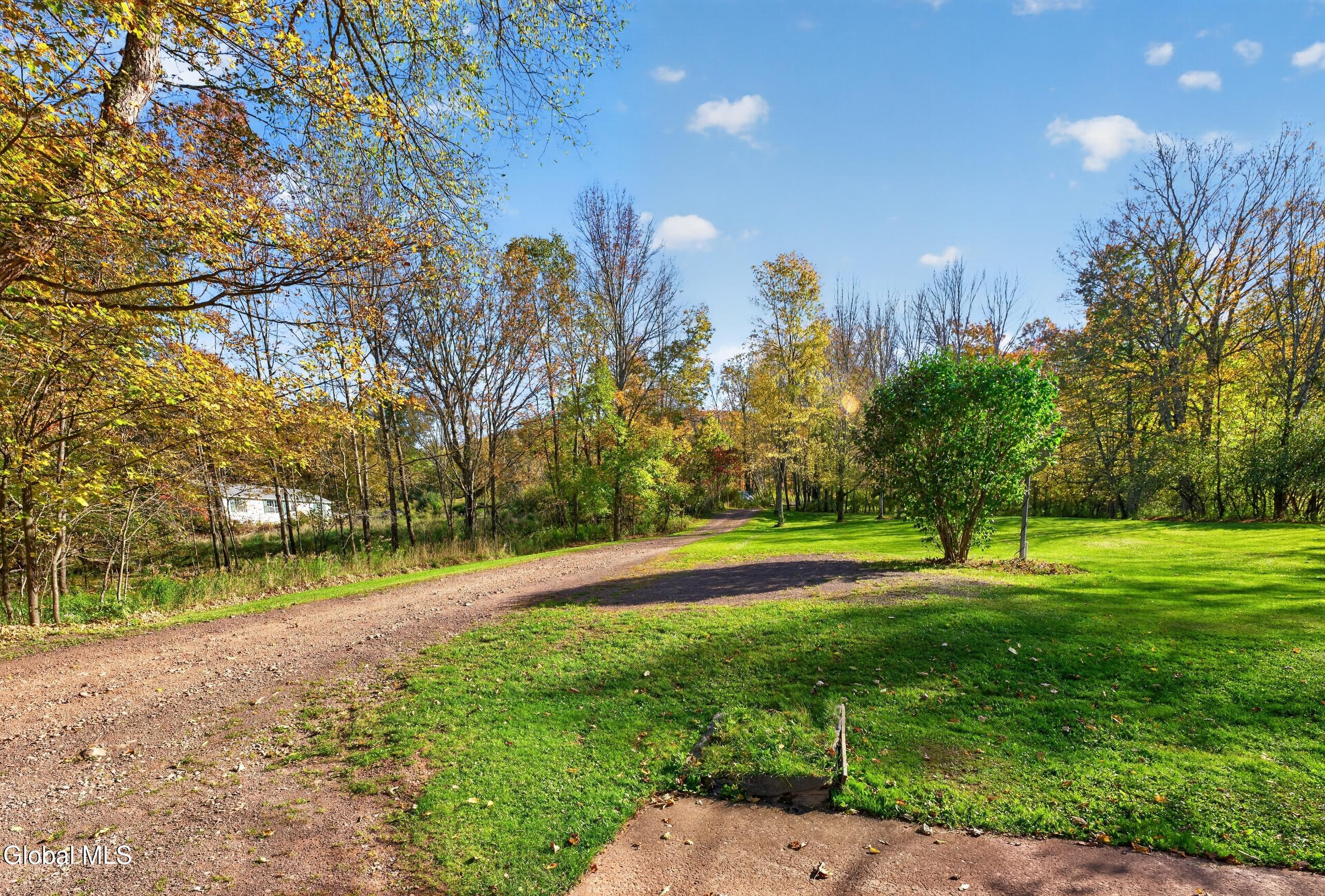 119 Brown House Road Conesville NY 12076