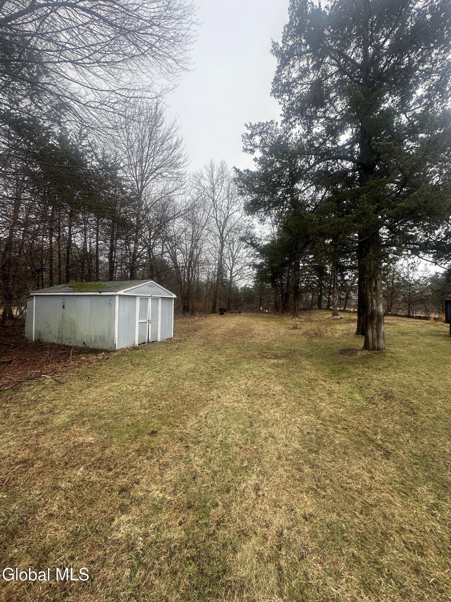 41 Pine Drive South Cairo NY 12482