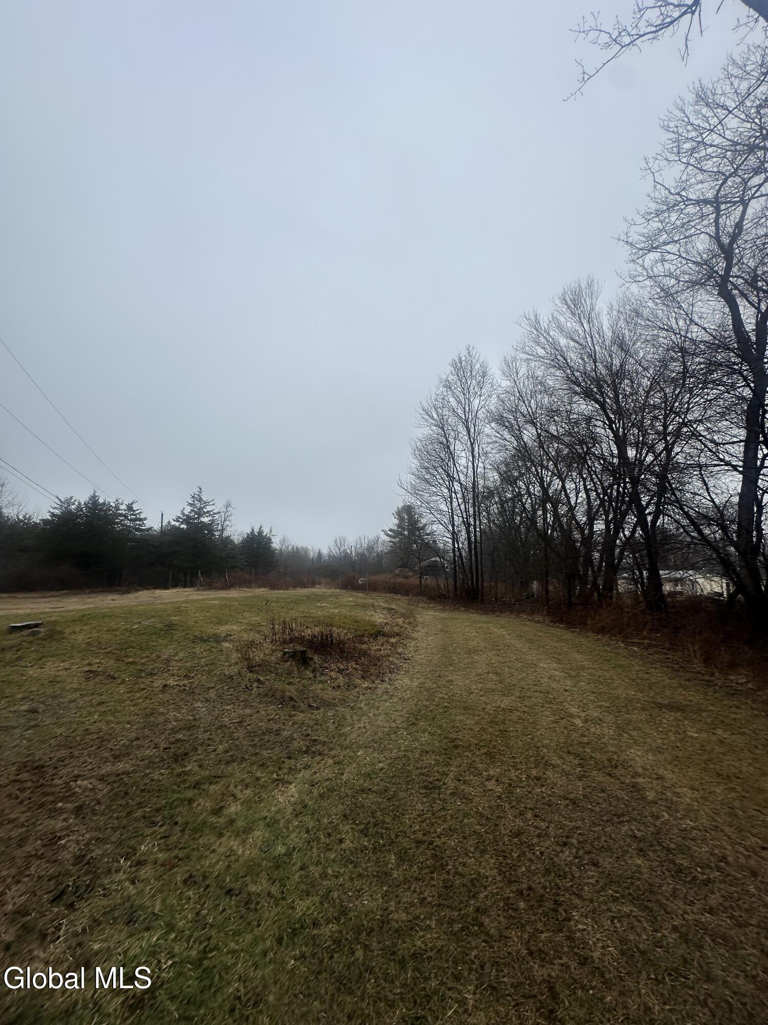 41 Pine Drive South Cairo NY 12482