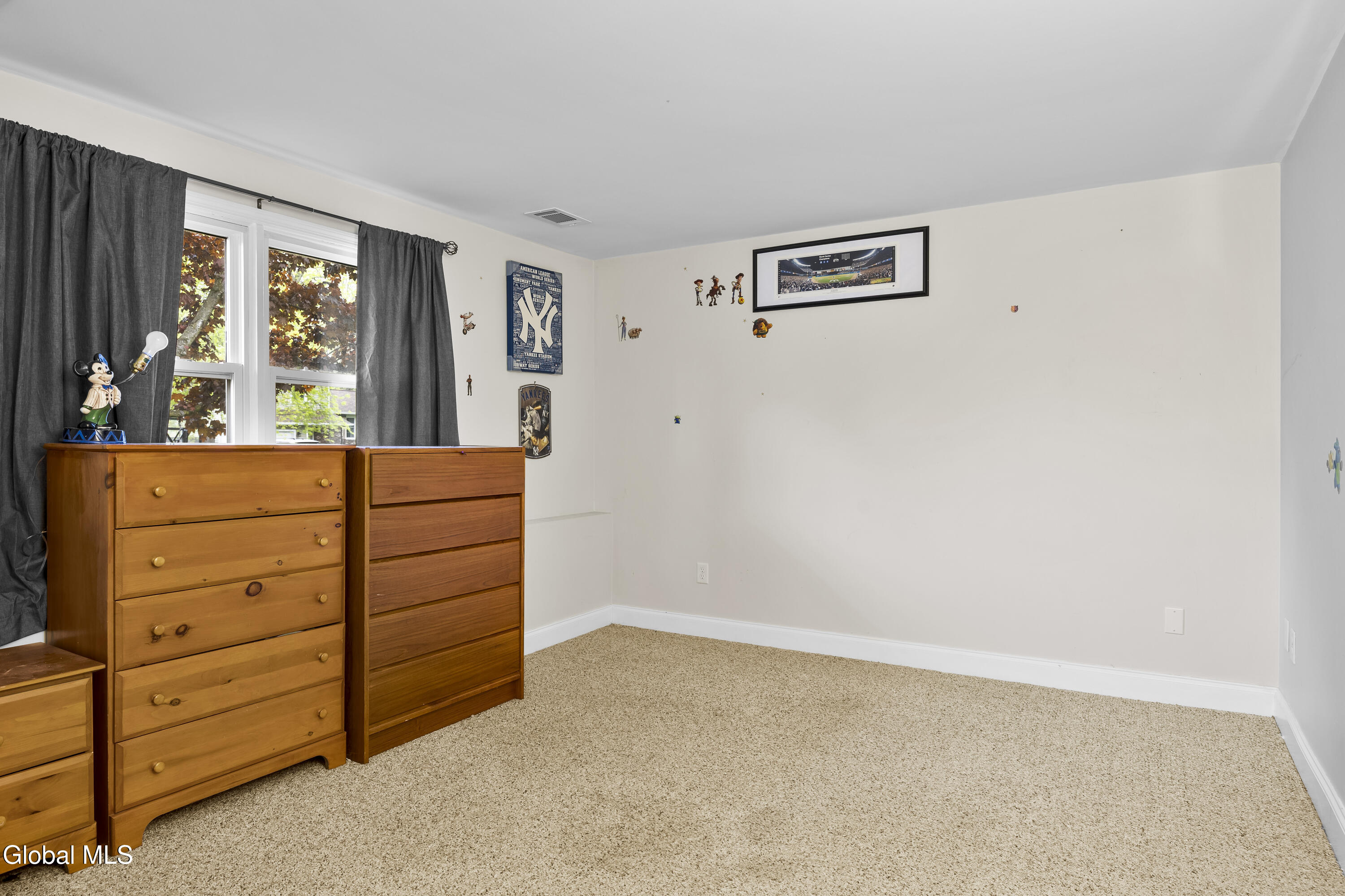 28 Vista Lane Selkirk NY 12158