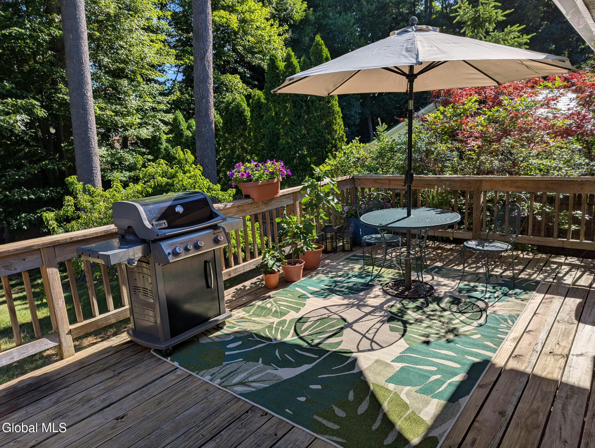 16 Sylvan Lane Clifton Park NY 12065