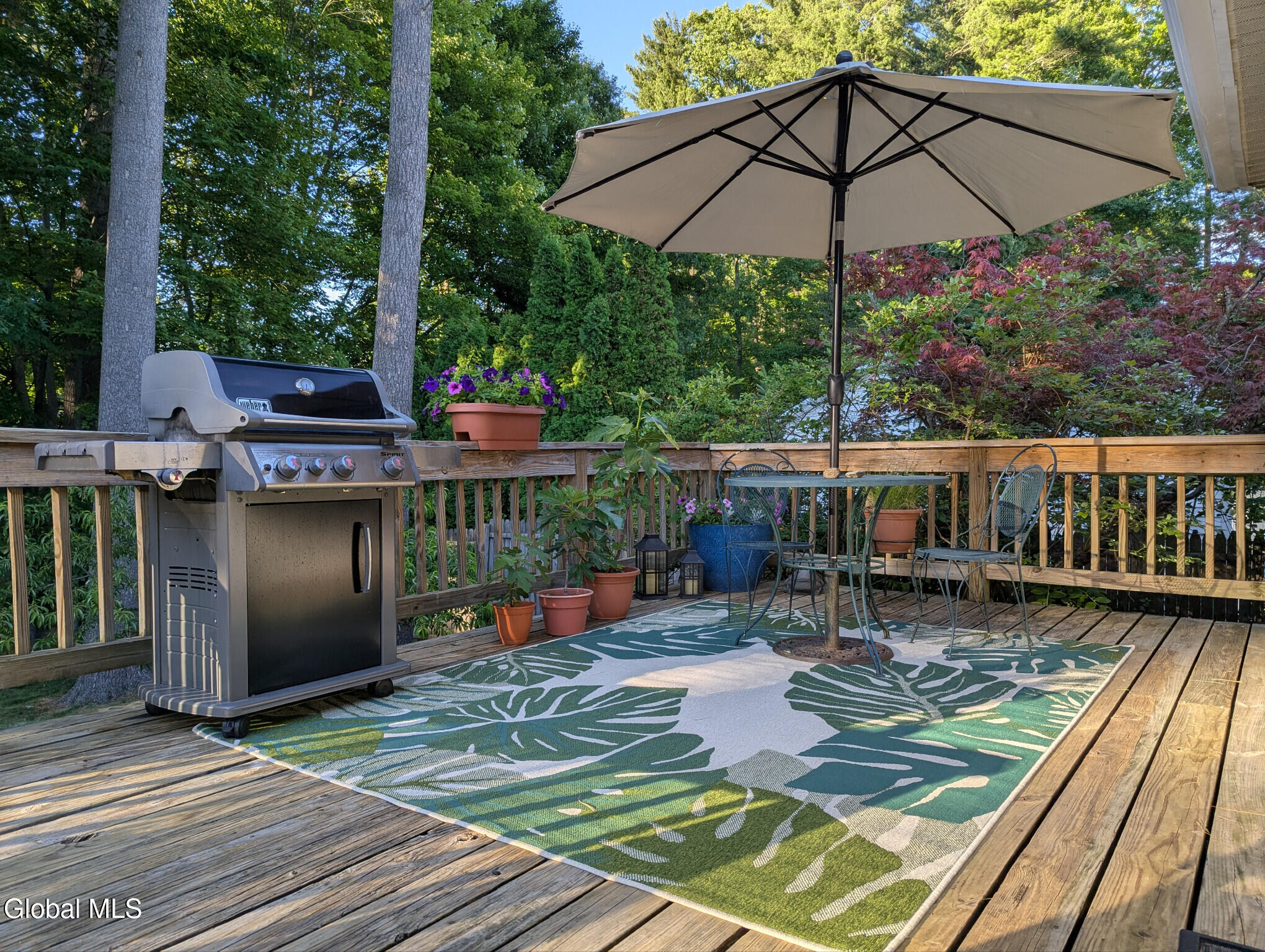 16 Sylvan Lane Clifton Park NY 12065