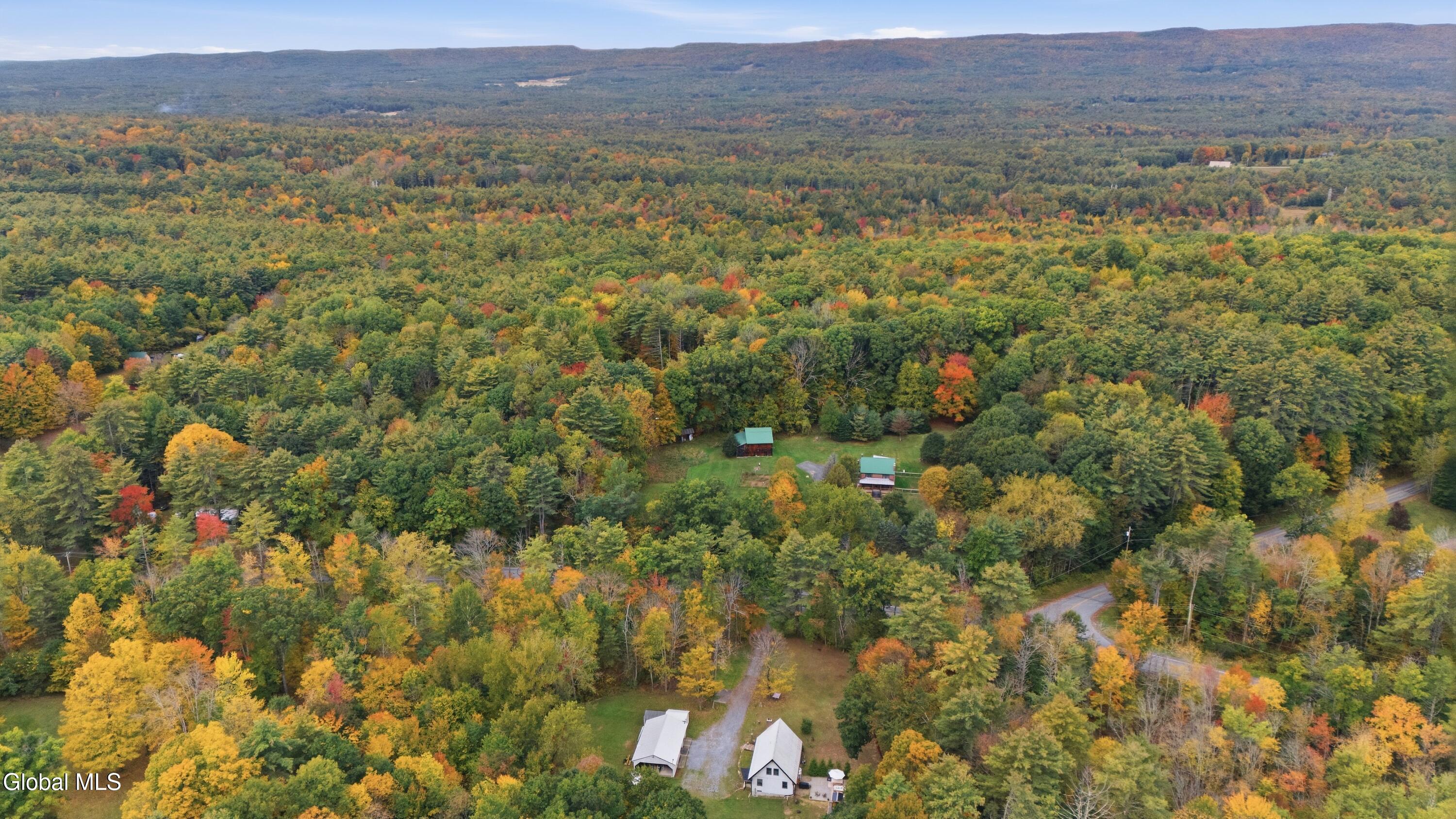 106 S Greenfield Road Greenfield Center NY 12833
