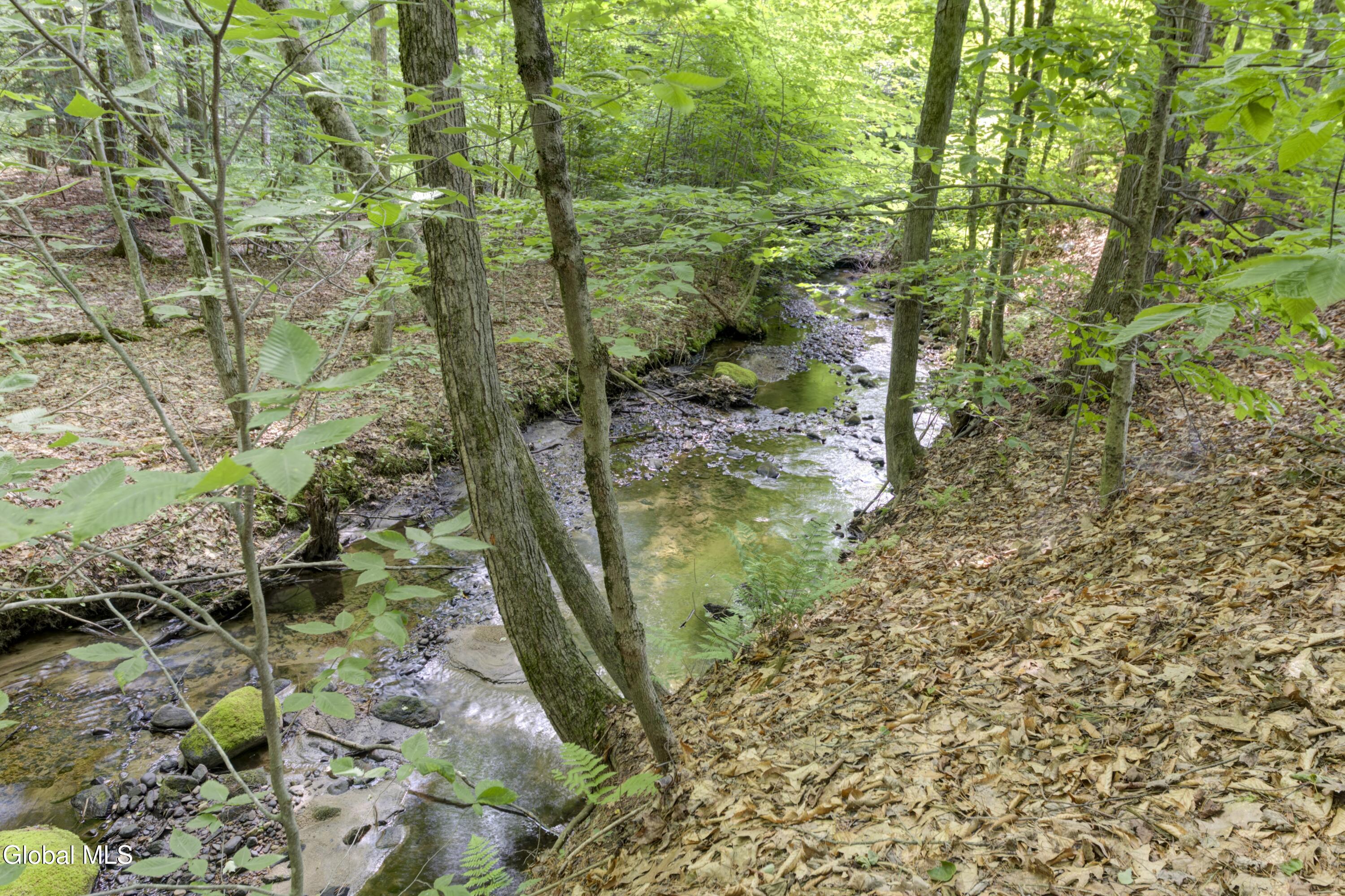 658 Coy Road Greenfield Center NY 12833