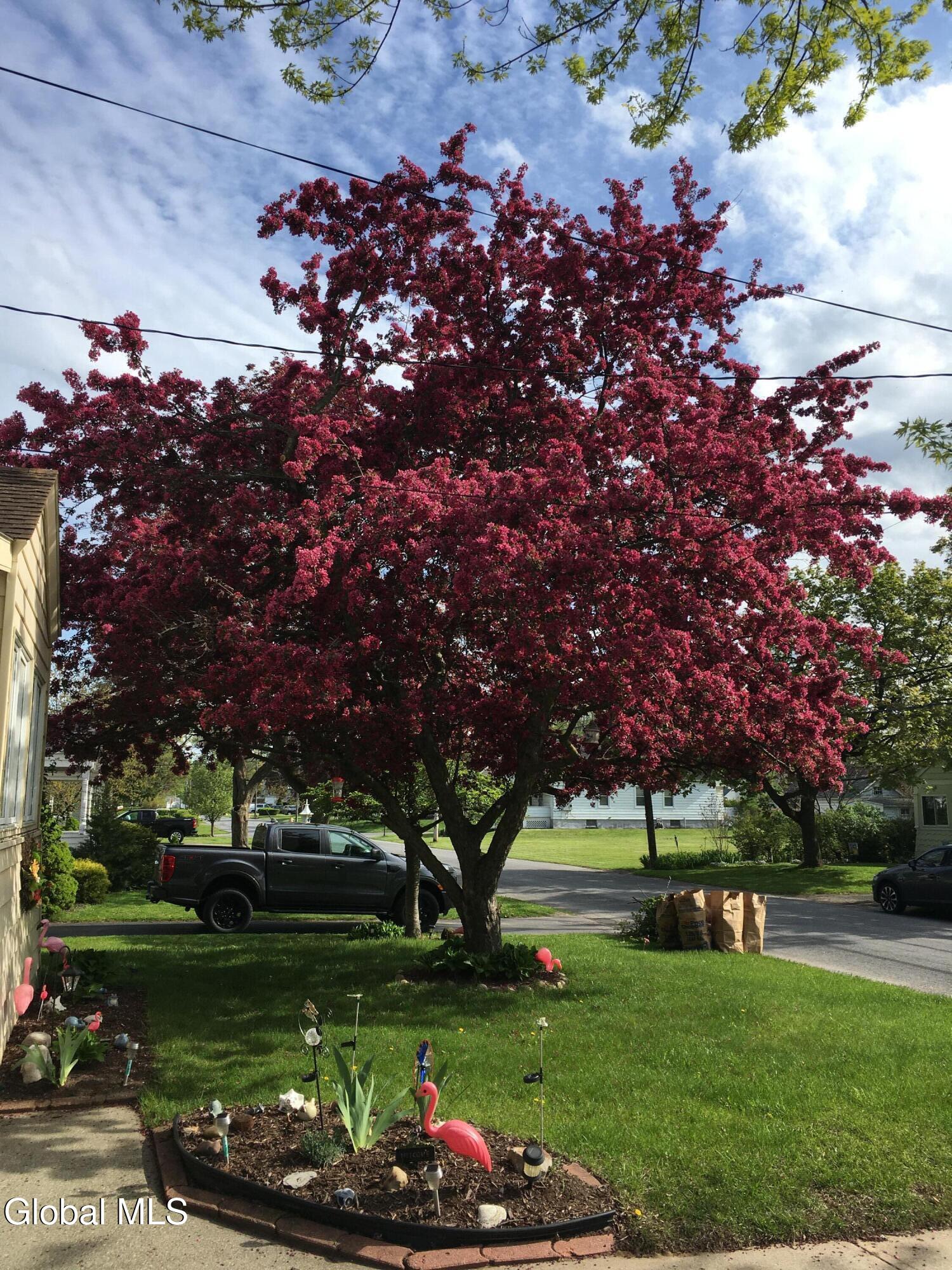 1930 Ferguson Street Schenectady NY 12303
