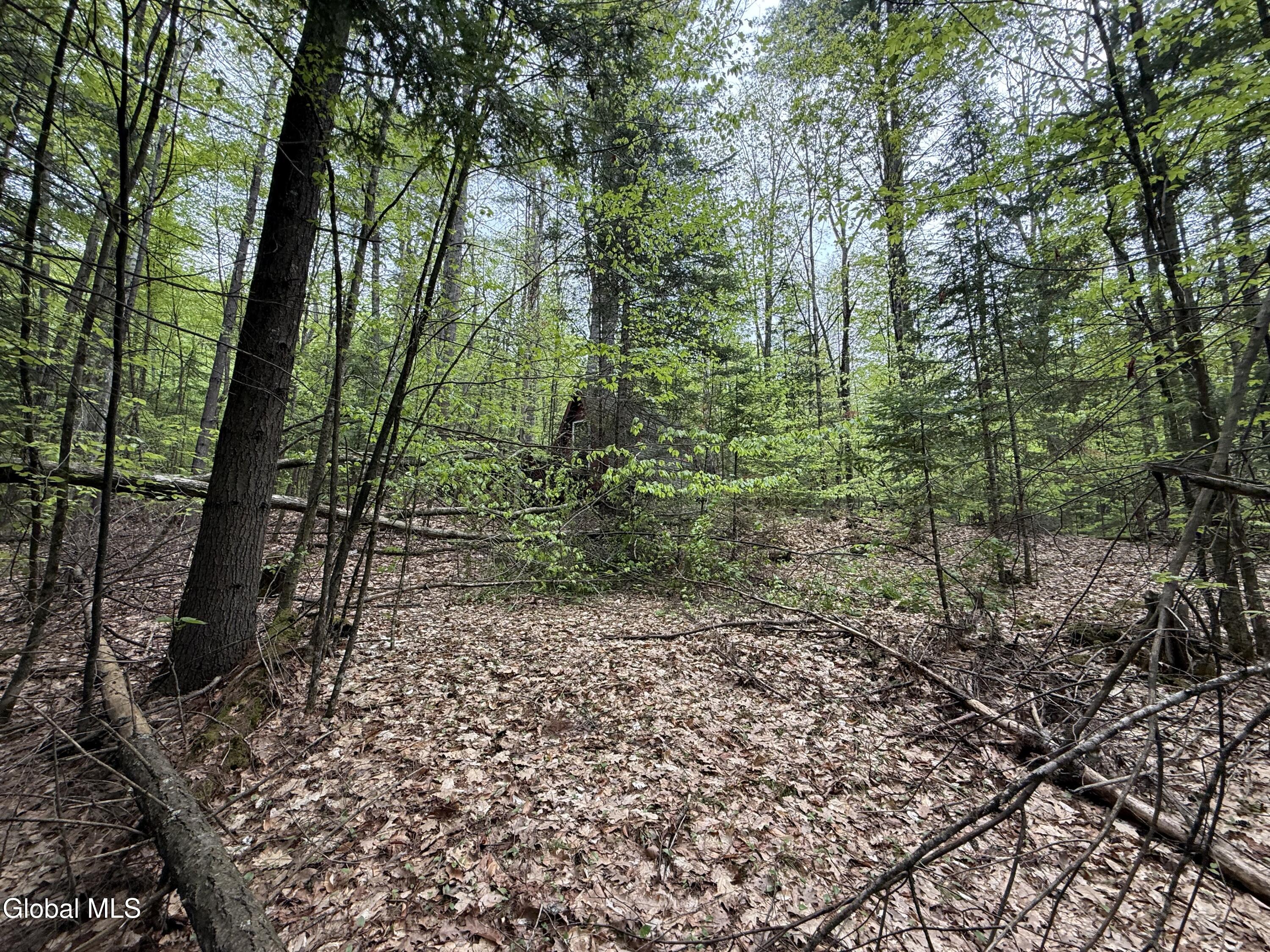 599 Beaver Pond Road Brant Lake NY 12815