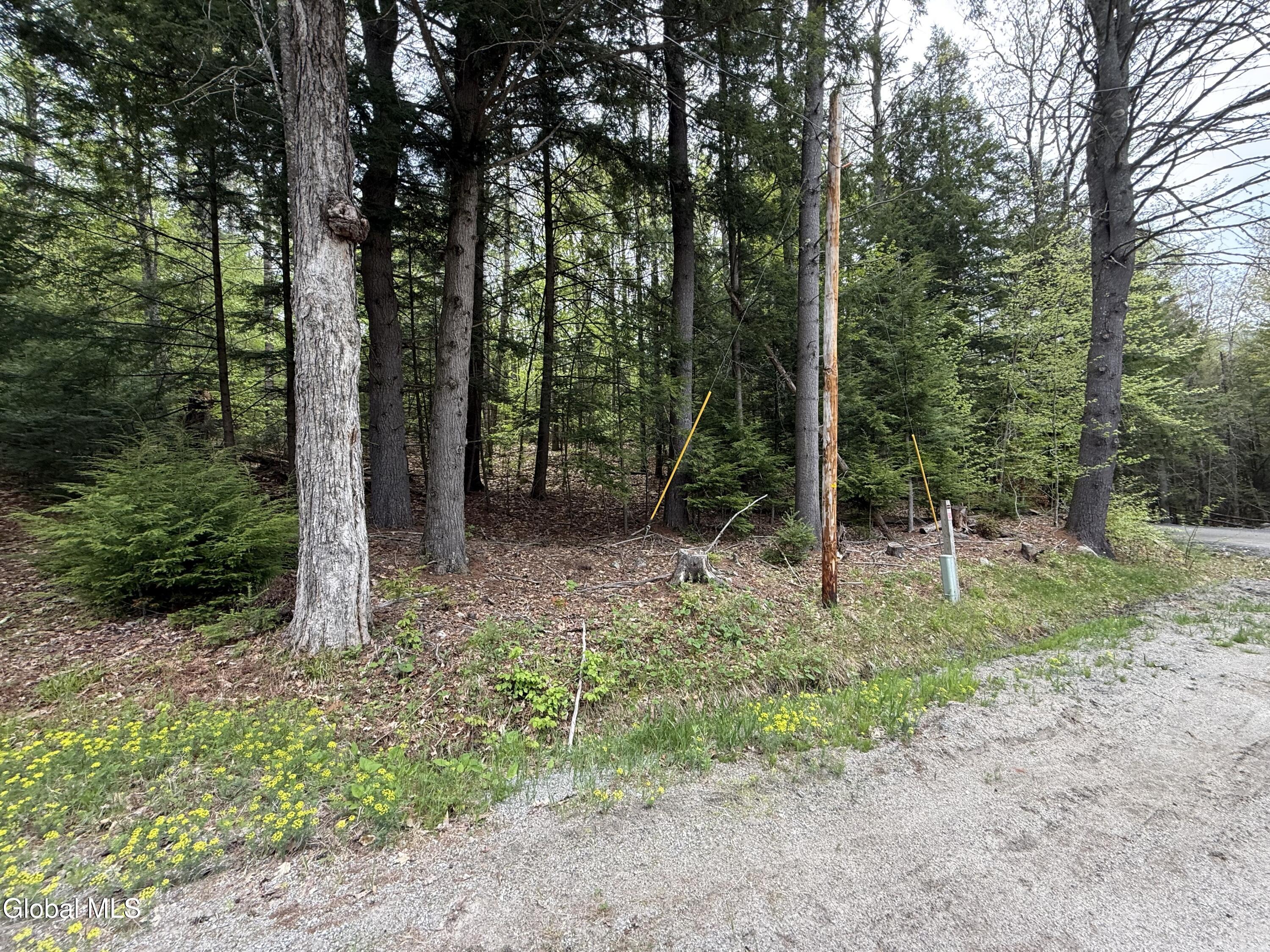 599 Beaver Pond Road Brant Lake NY 12815