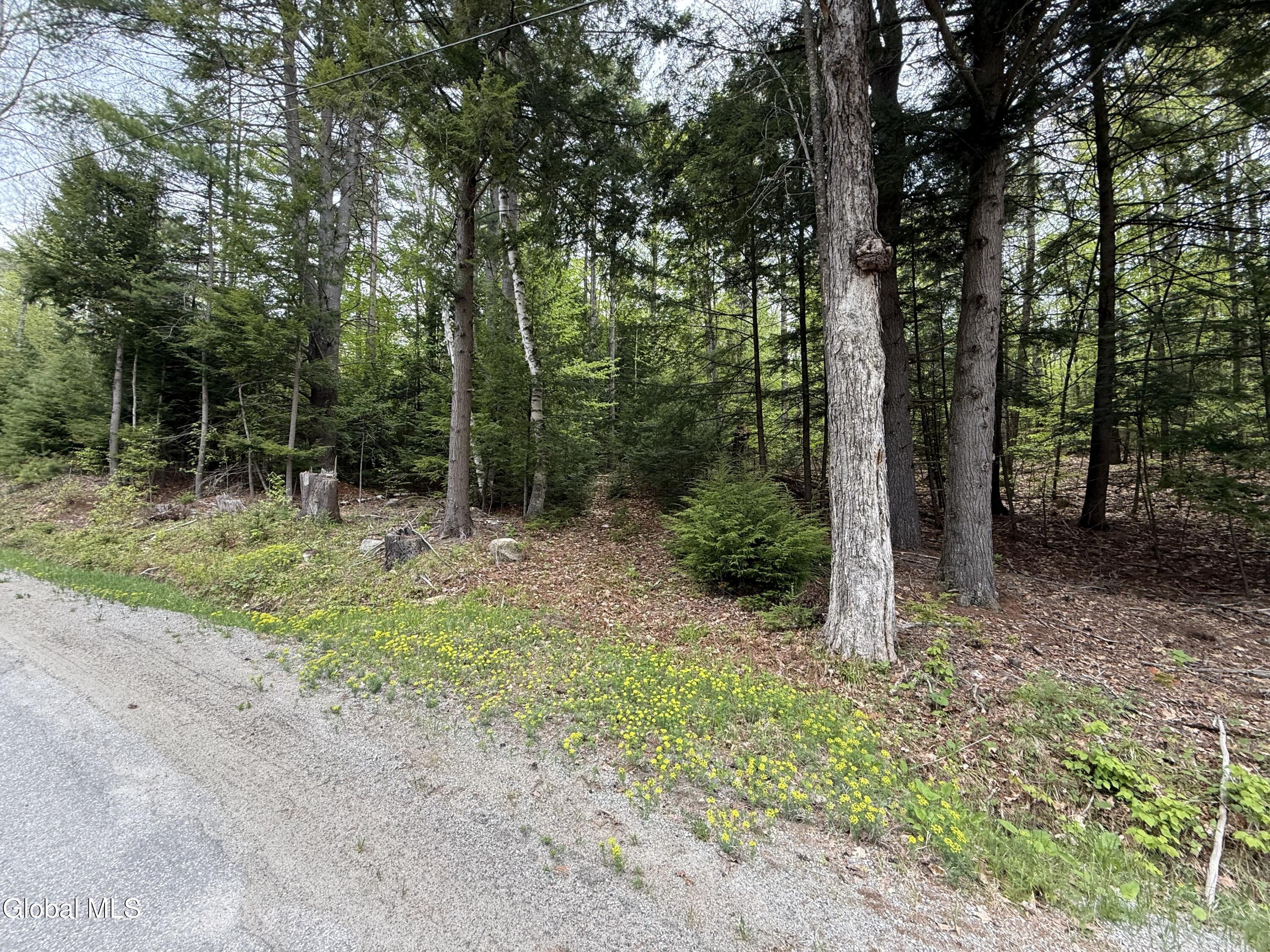 599 Beaver Pond Road Brant Lake NY 12815