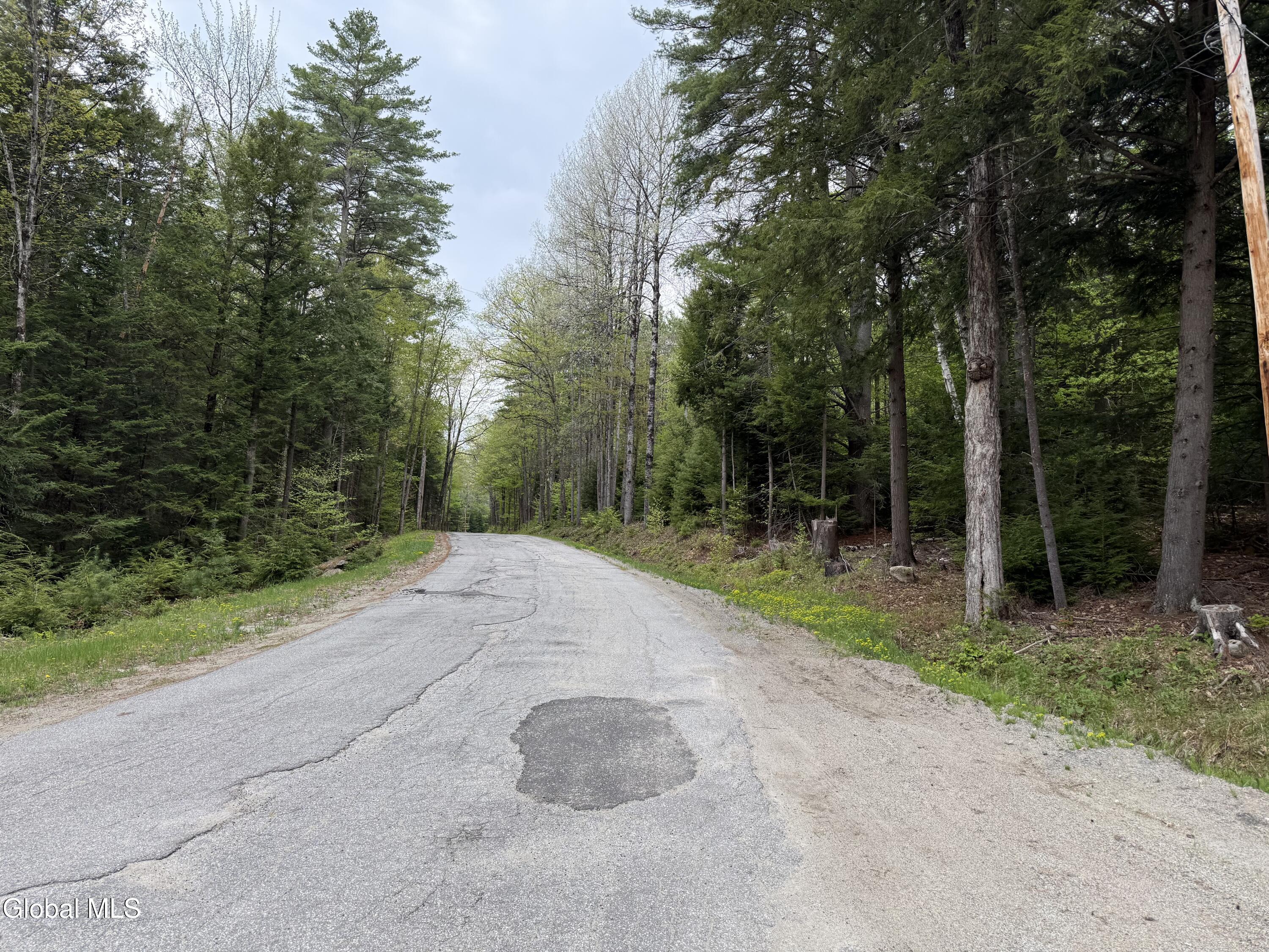 599 Beaver Pond Road Brant Lake NY 12815