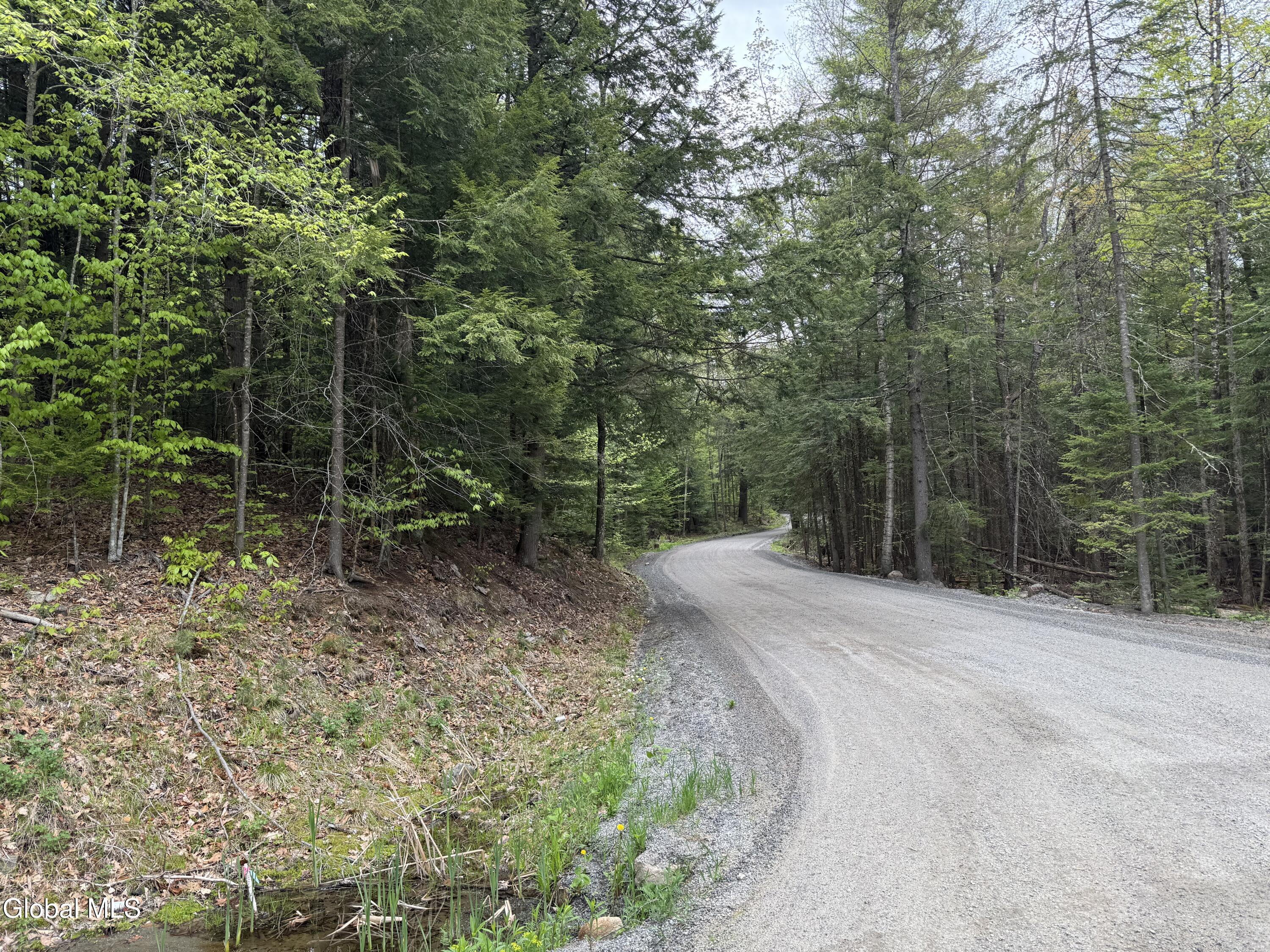 599 Beaver Pond Road Brant Lake NY 12815