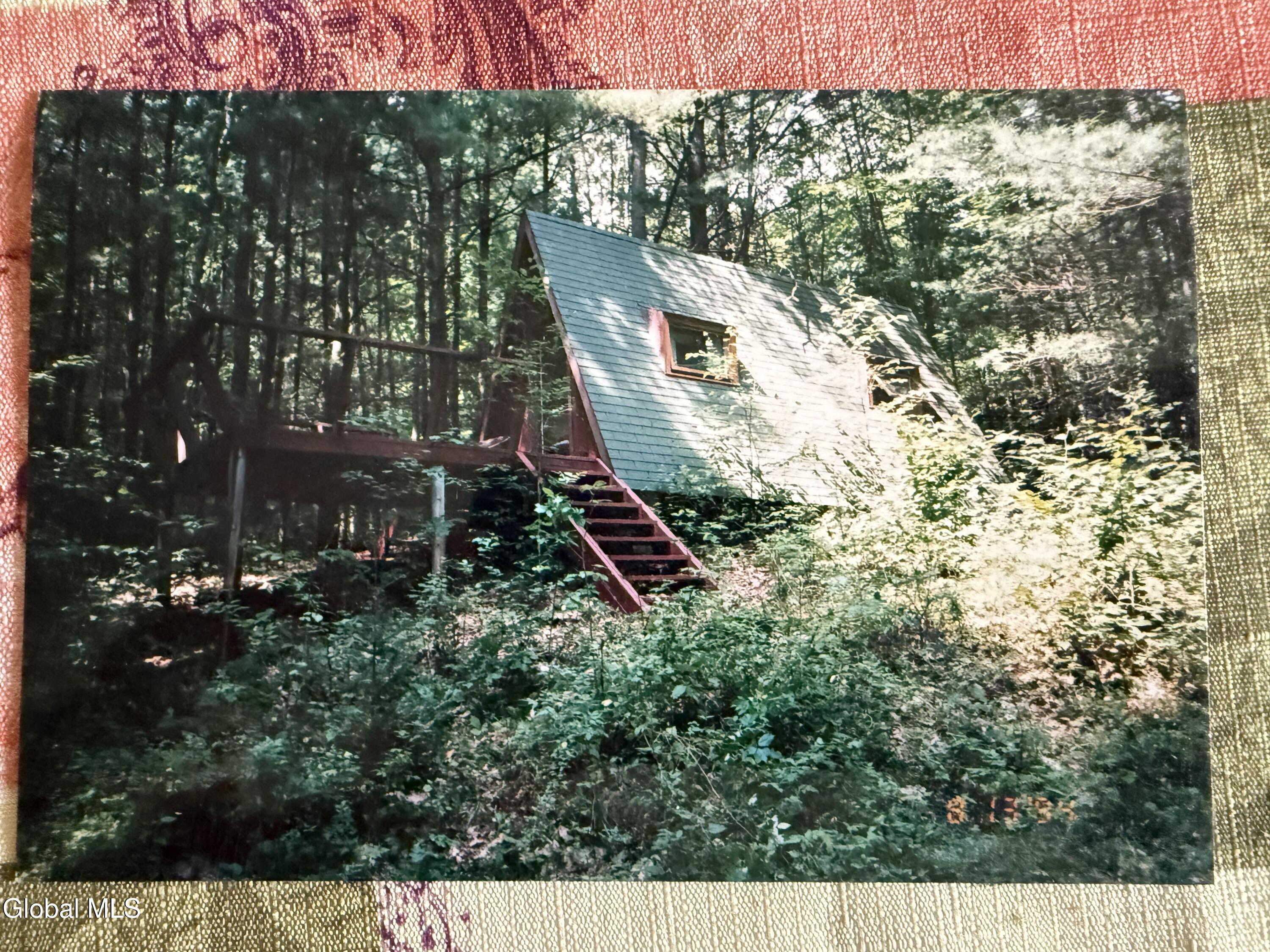 599 Beaver Pond Road Brant Lake NY 12815