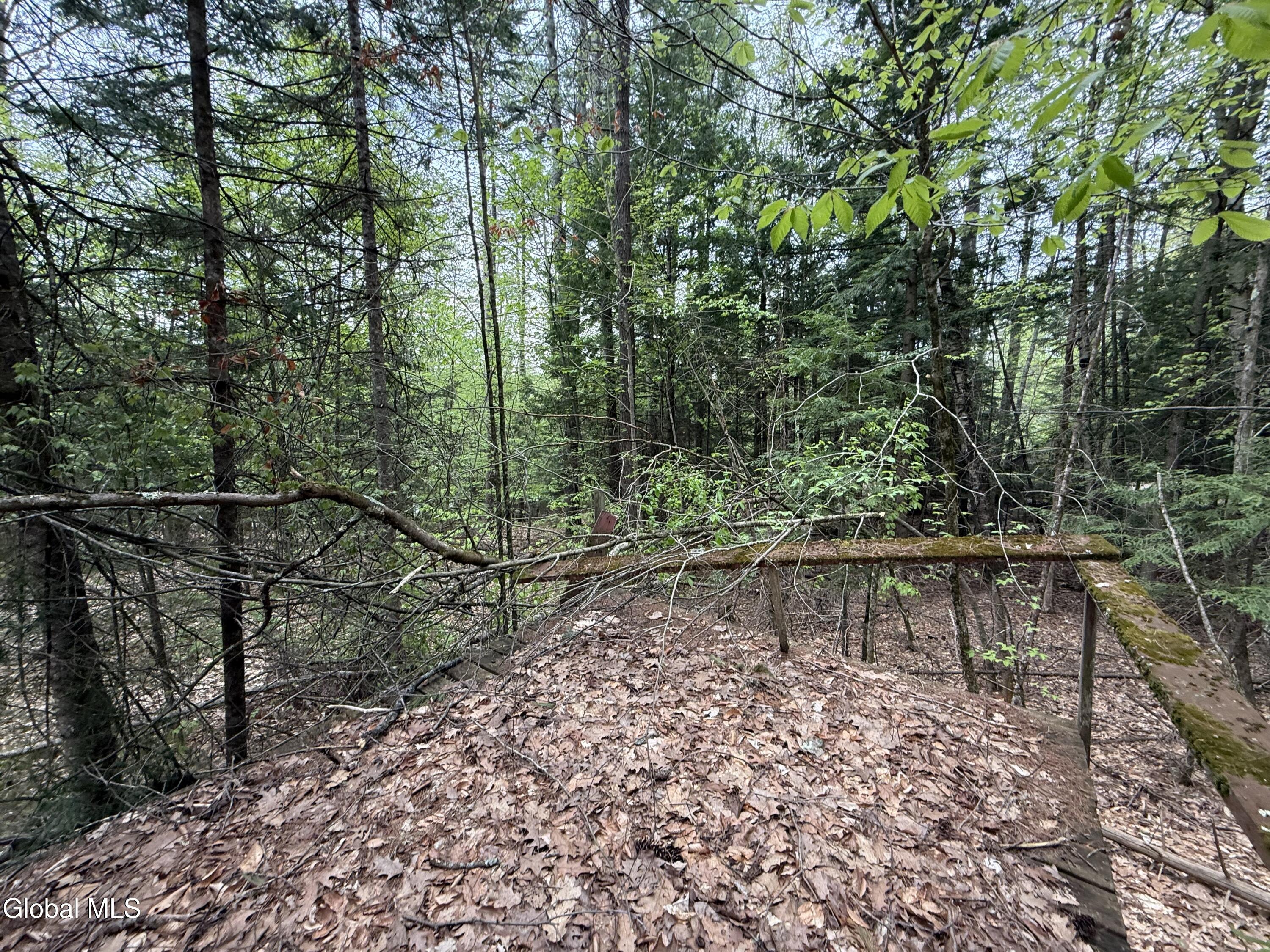 599 Beaver Pond Road Brant Lake NY 12815