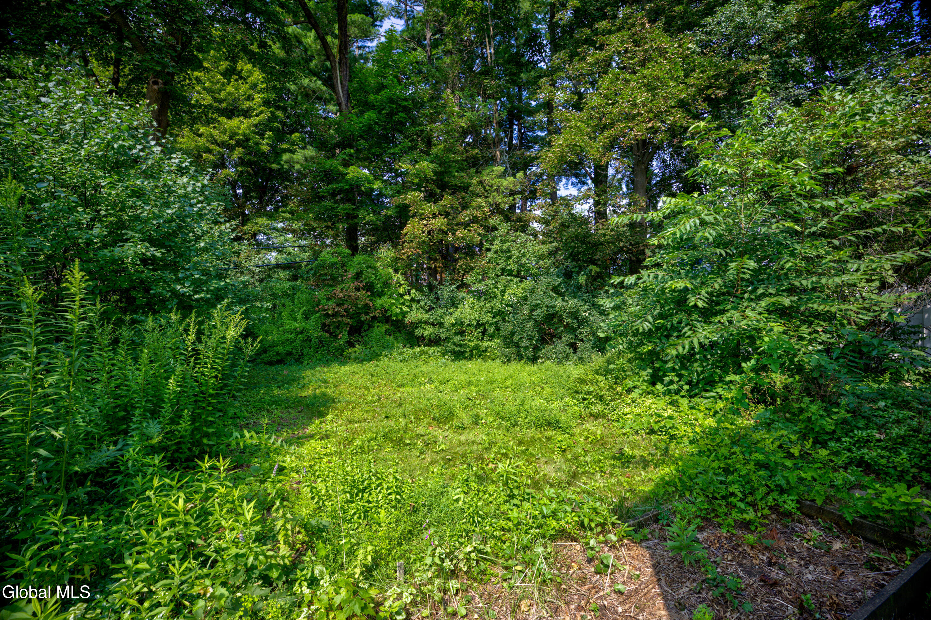 1929 Dean Street Niskayuna NY 12309
