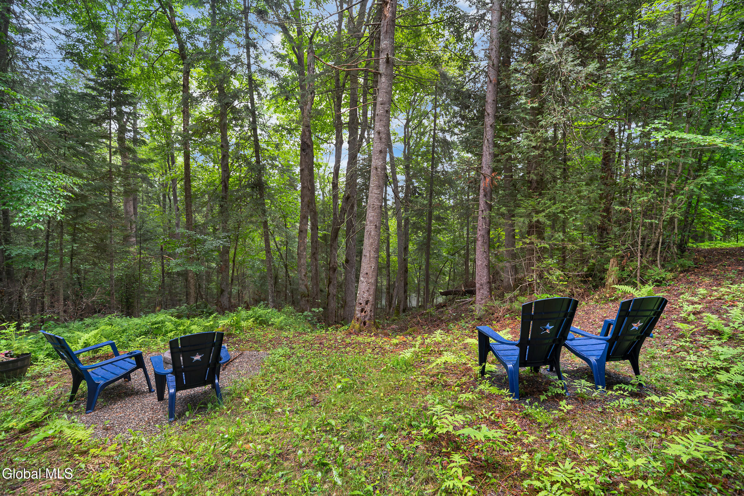 29 Fennessey Lane Newcomb NY 12852