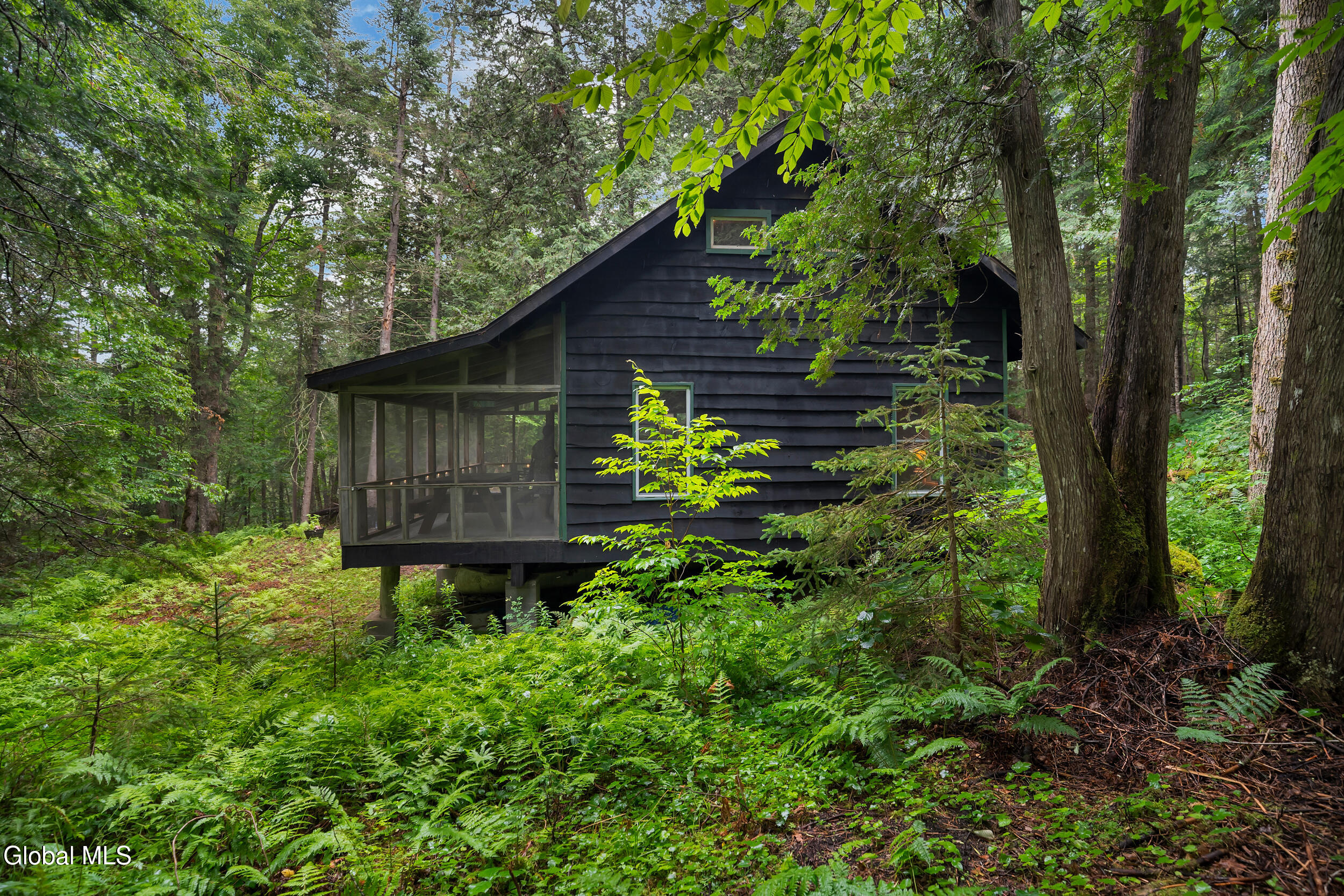 29 Fennessey Lane Newcomb NY 12852