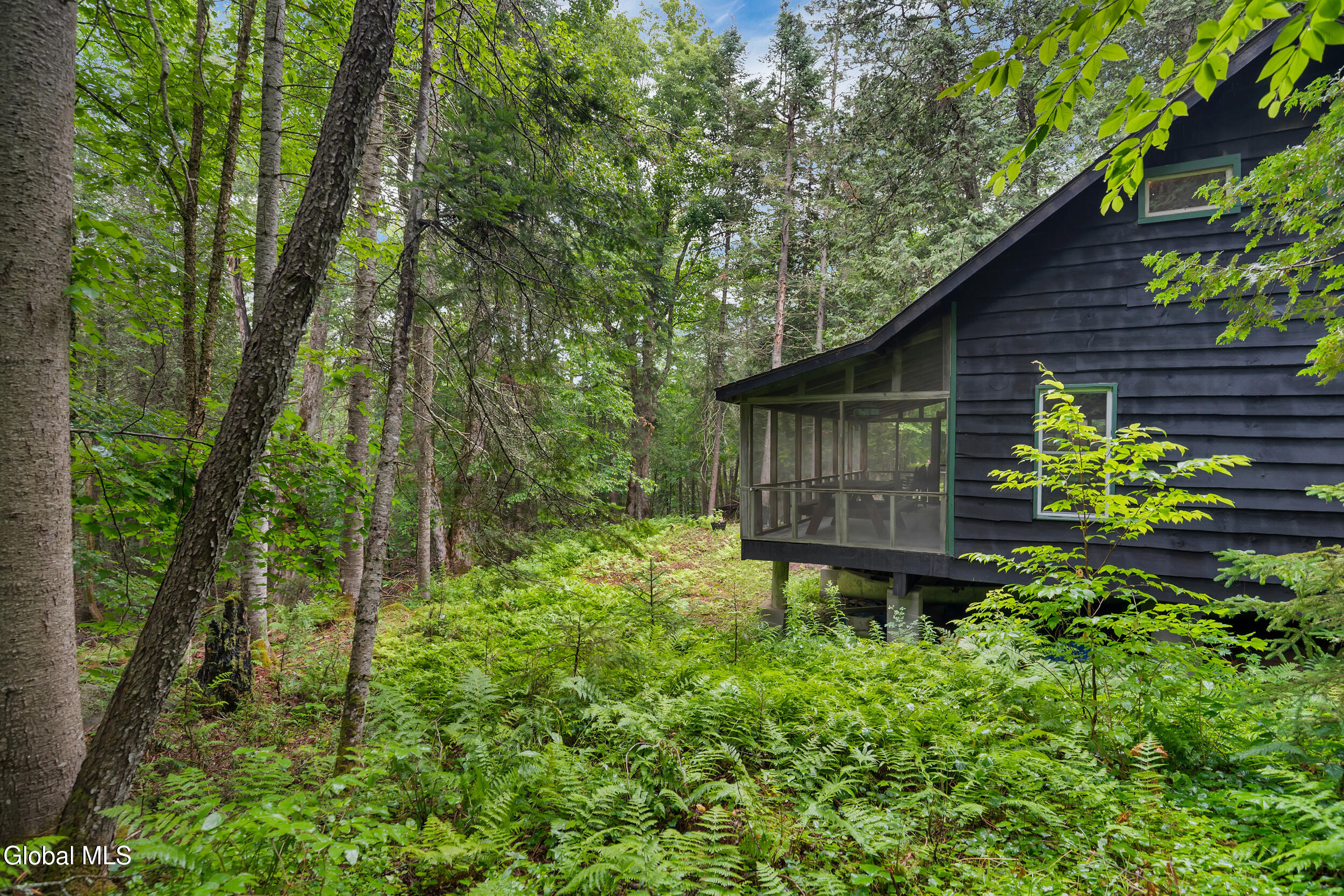 29 Fennessey Lane Newcomb NY 12852