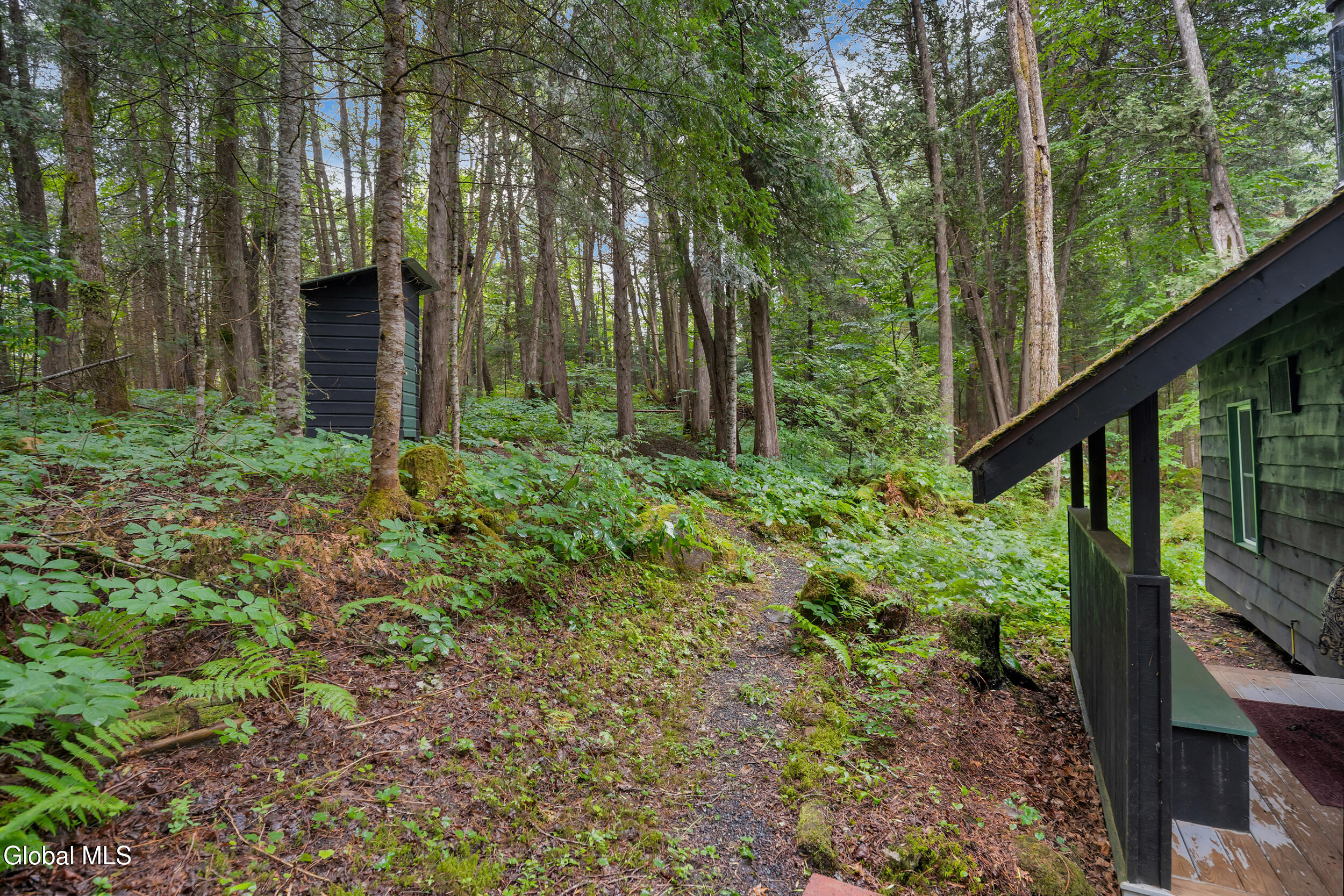 29 Fennessey Lane Newcomb NY 12852