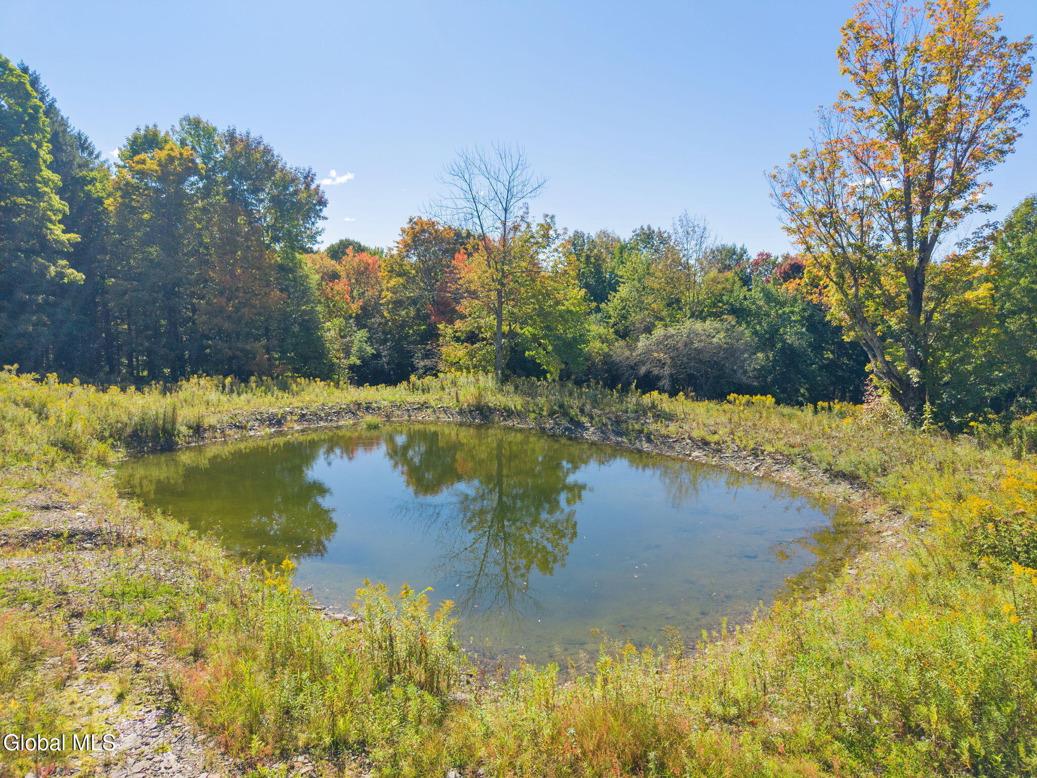 986 Smokey Avenue Schenevus NY 12155
