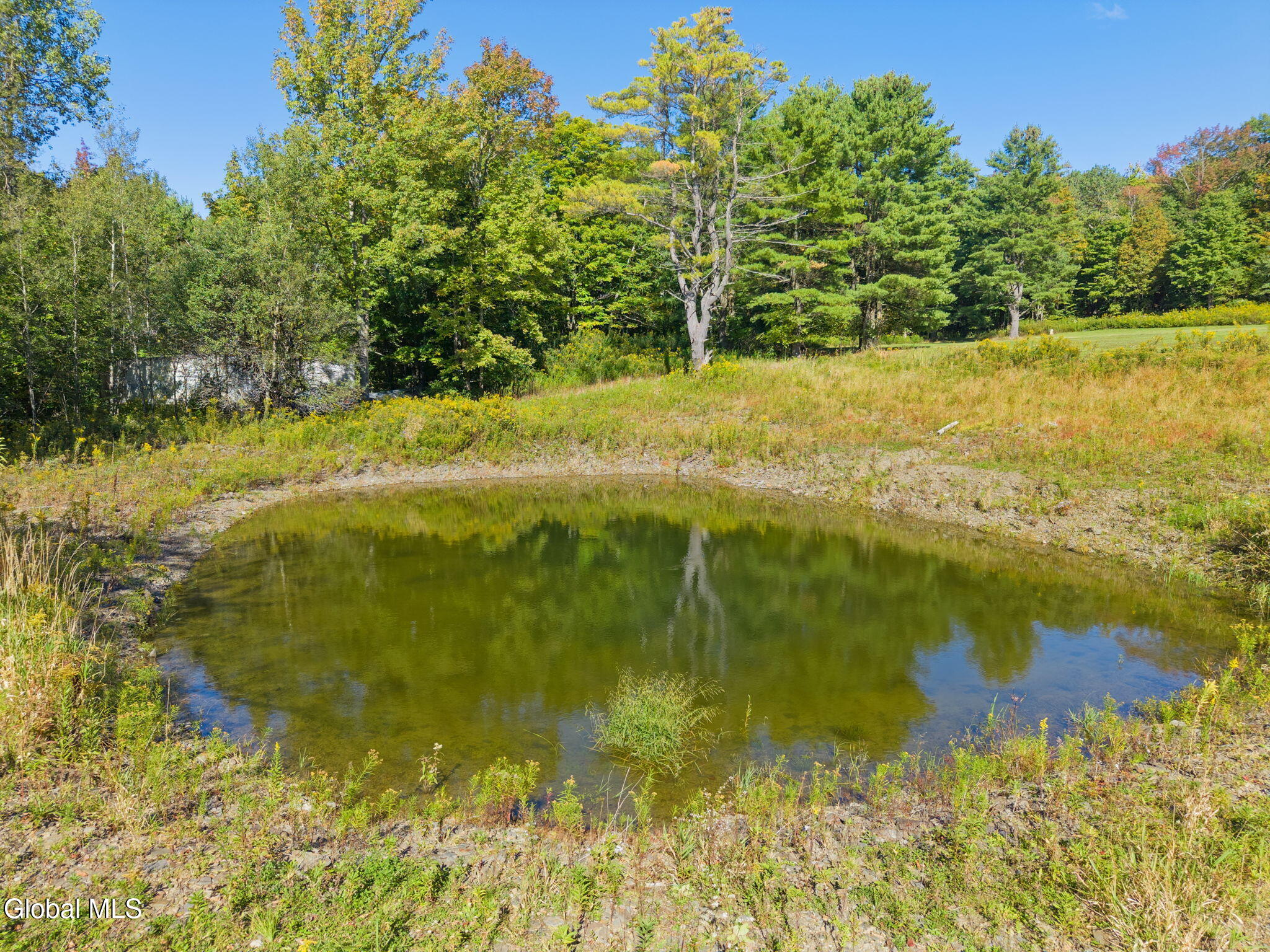 986 Smokey Avenue Schenevus NY 12155