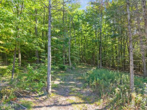 986 Smokey Avenue Schenevus NY 12155