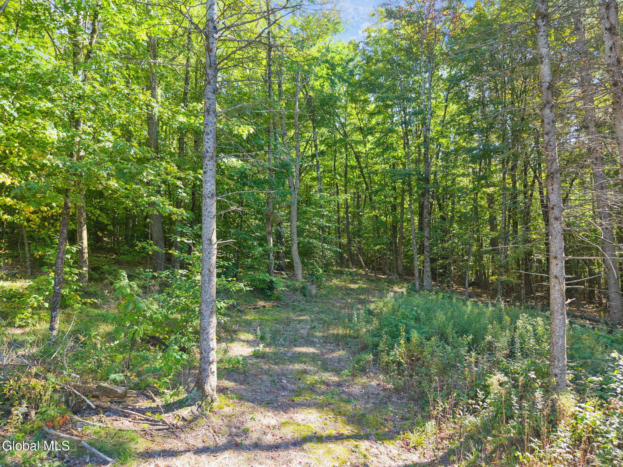 986 Smokey Avenue Schenevus NY 12155