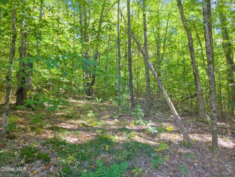 986 Smokey Avenue Schenevus NY 12155