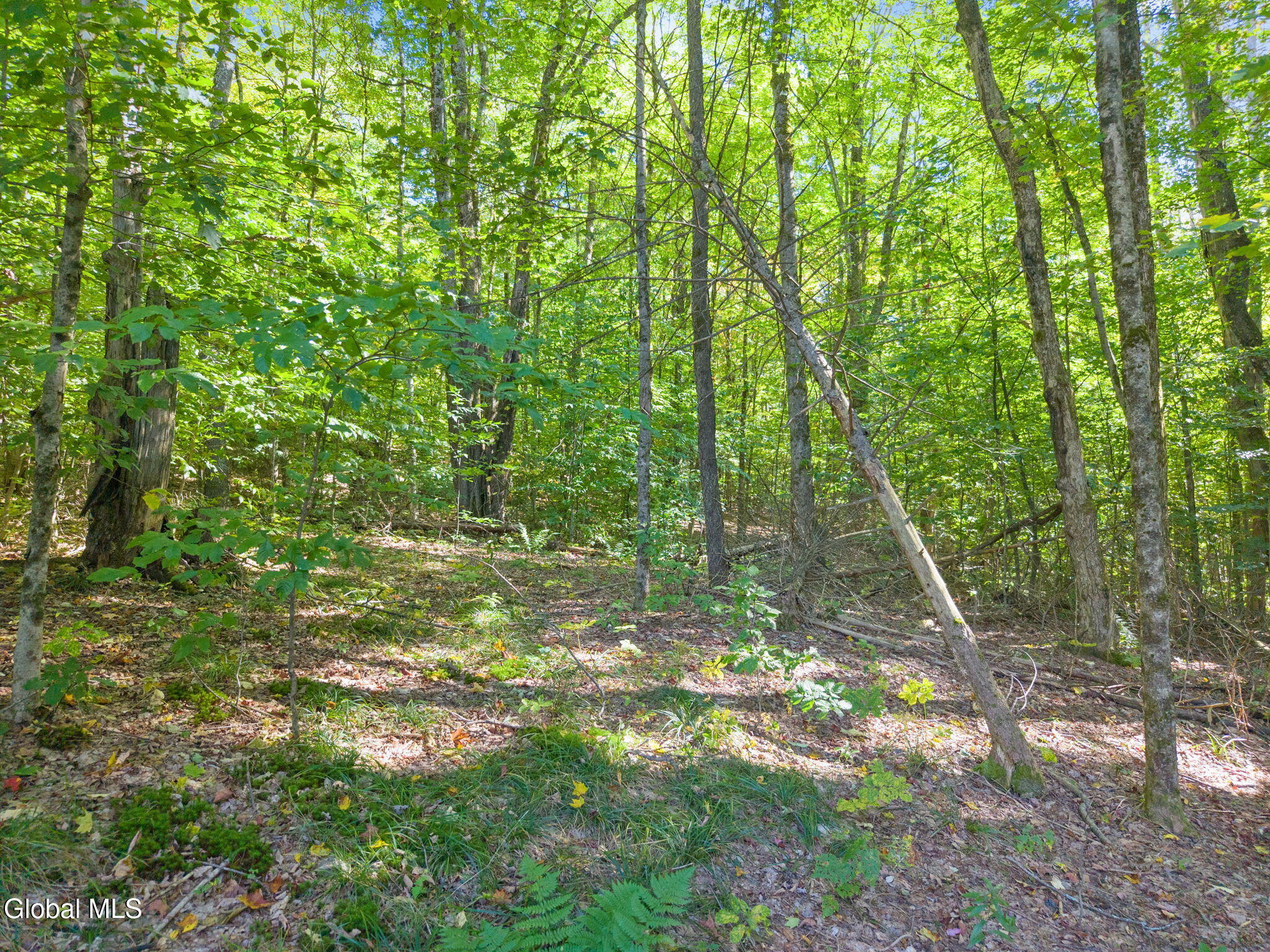 986 Smokey Avenue Schenevus NY 12155